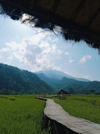 A serene path in the Vietnamese countryside ideal for slow travel and nature retreats.