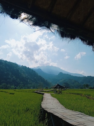 A serene Garut landscape with travelers enjoying a guided eco-tour amid lush greenery and traditional villages.