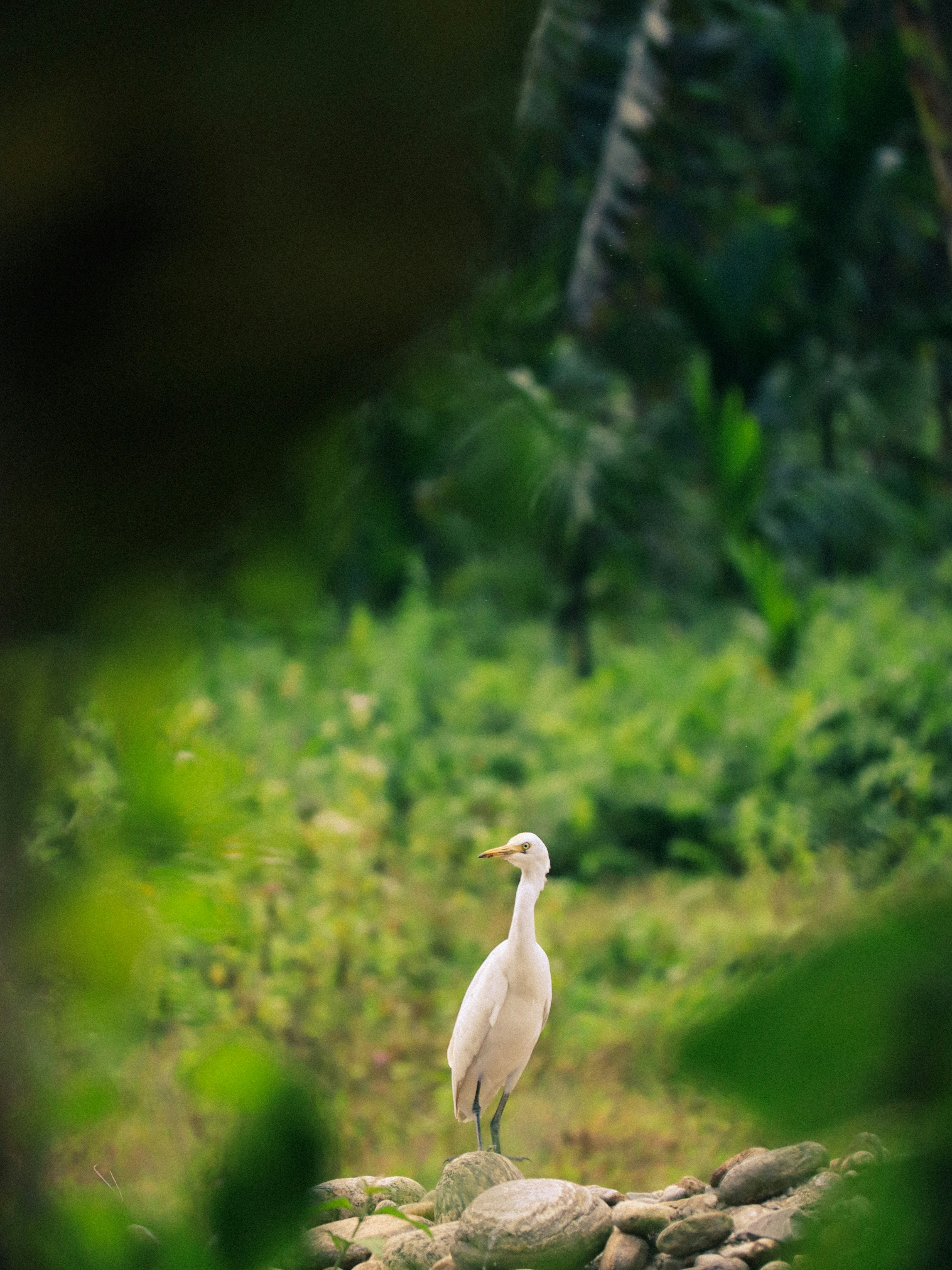 Photo by soonamwooeser