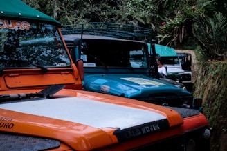 A diverse lineup of four-wheeled vehicles parked along a scenic Colombian street.