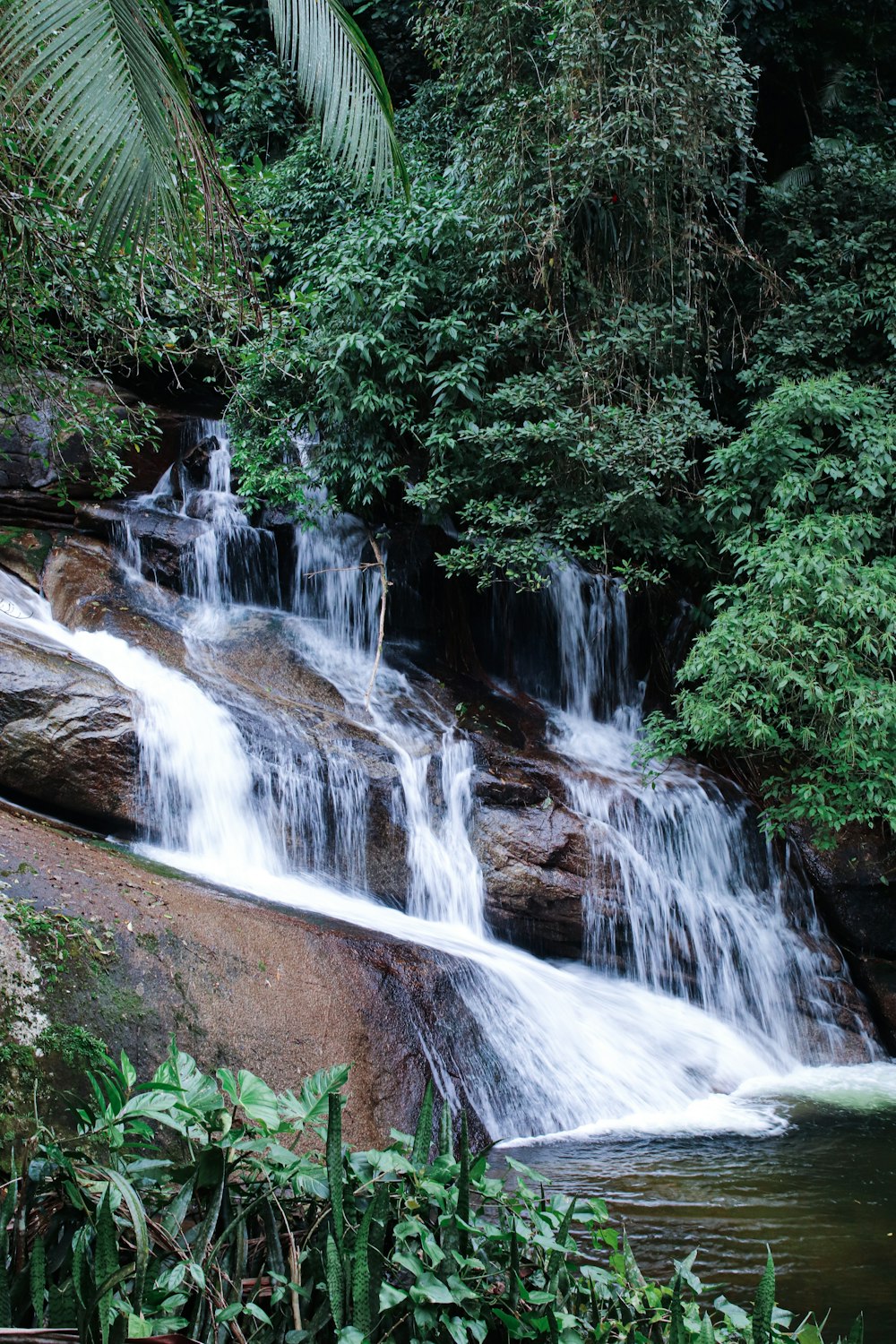 a waterfall in a forest