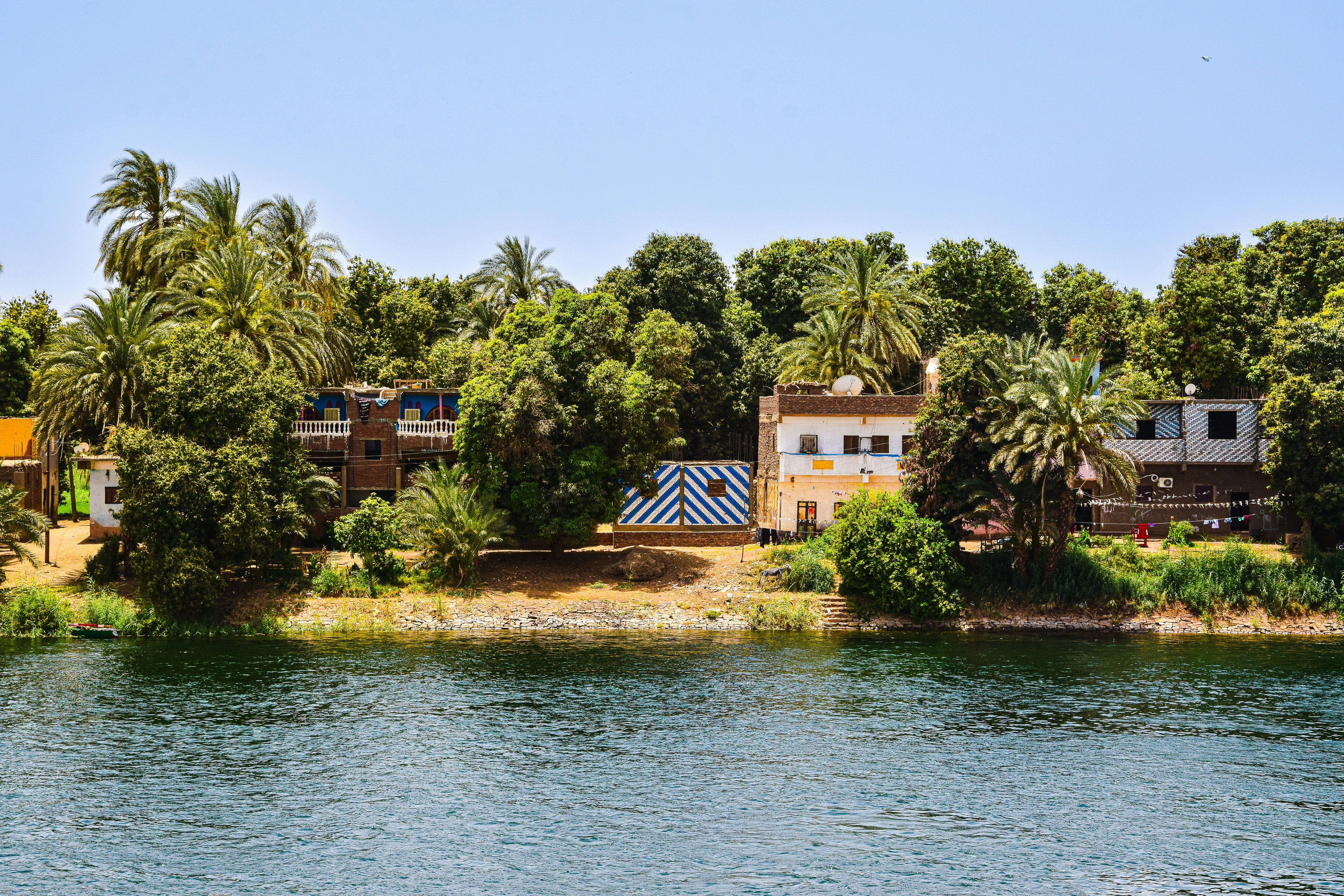 a body of water with trees and buildings around it, Nile, Egypt.