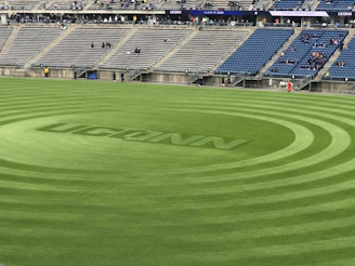 Fans cheering in the stands wearing UConn gear, with the game in full swing behind them.