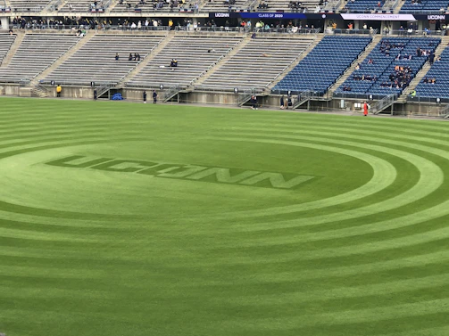 Fans cheering in the stands wearing UConn gear, with the game in full swing behind them.