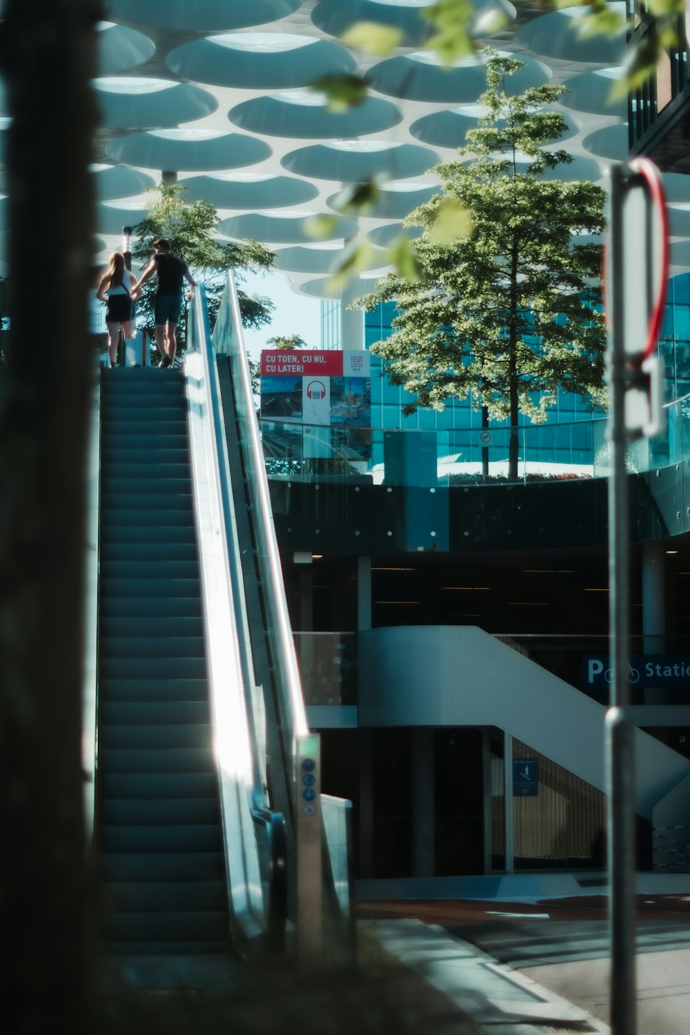 a group of people walking up stairs