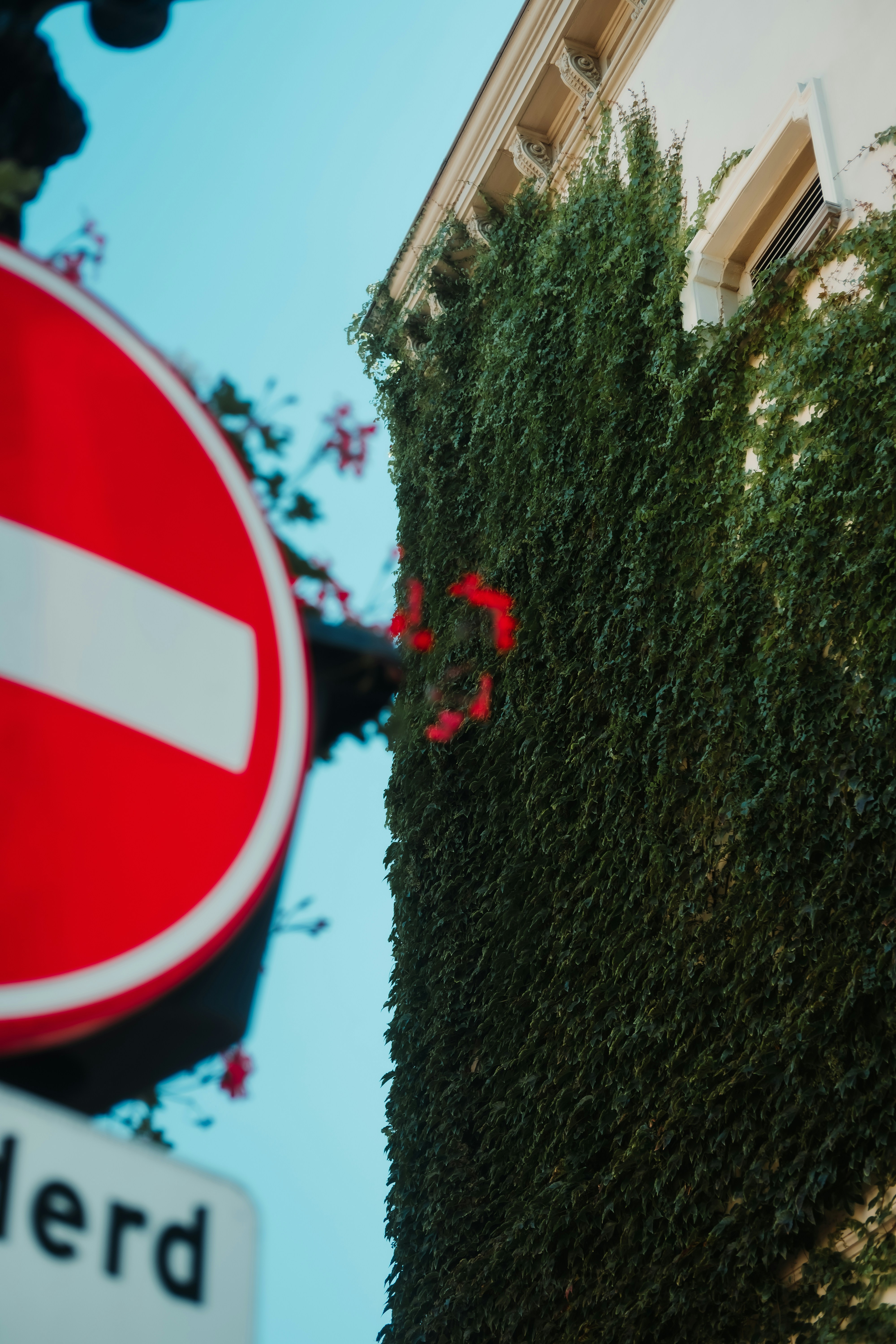 Photo by k_sariwating