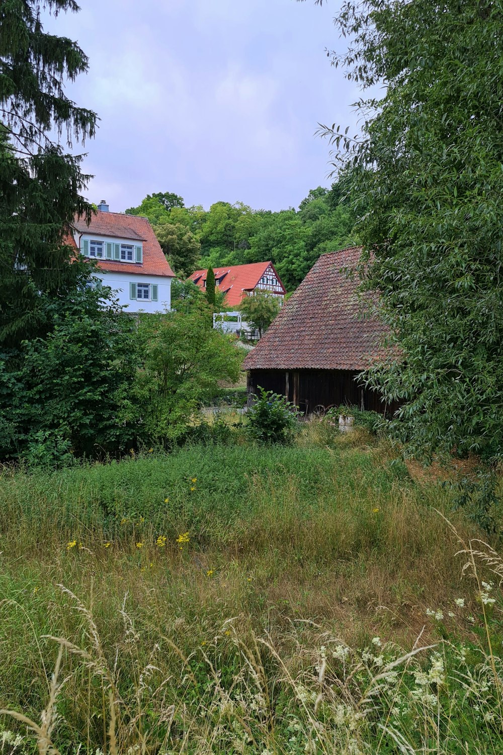 a group of houses in a grassy area