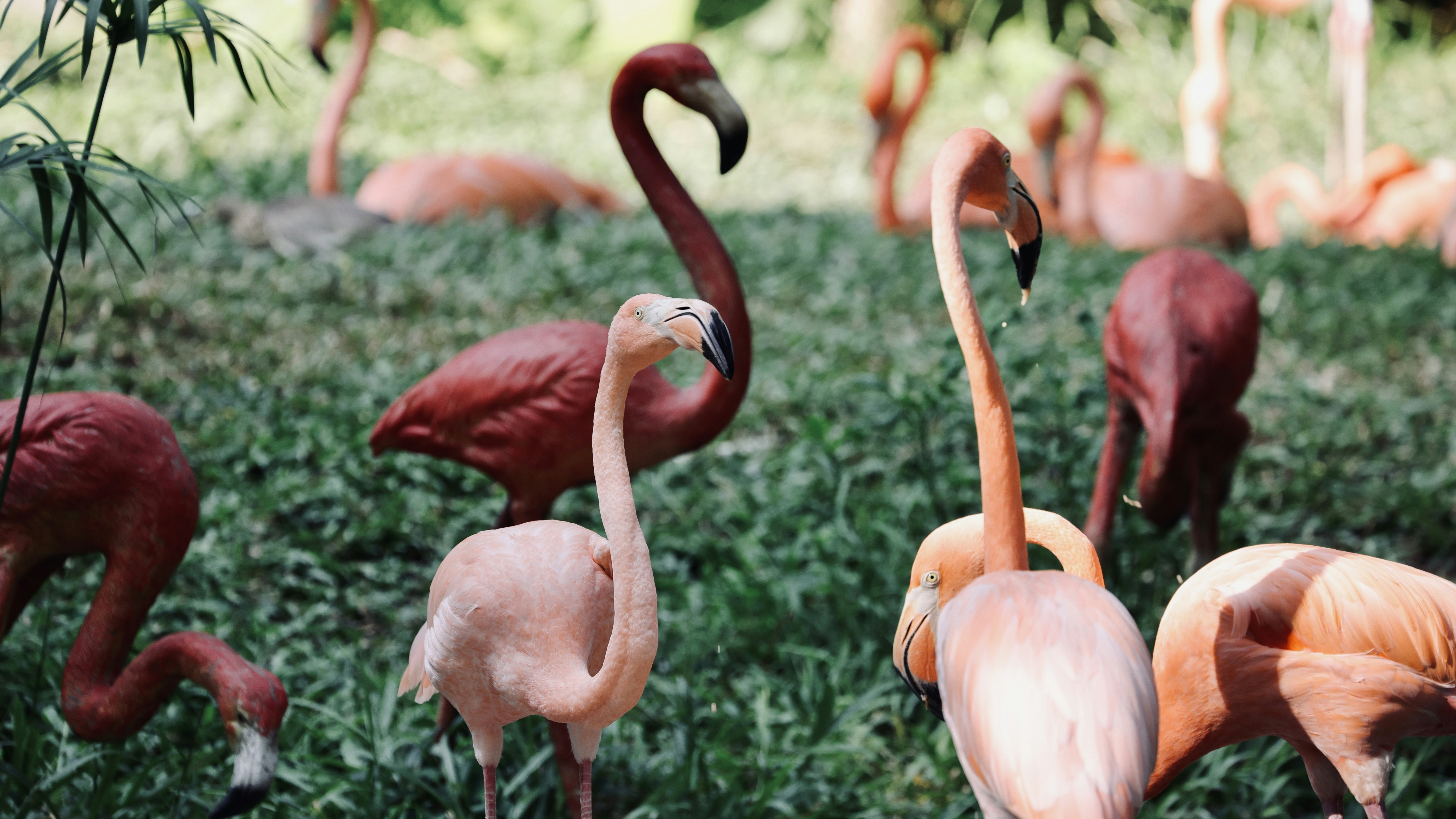 Photo by dickenslin76