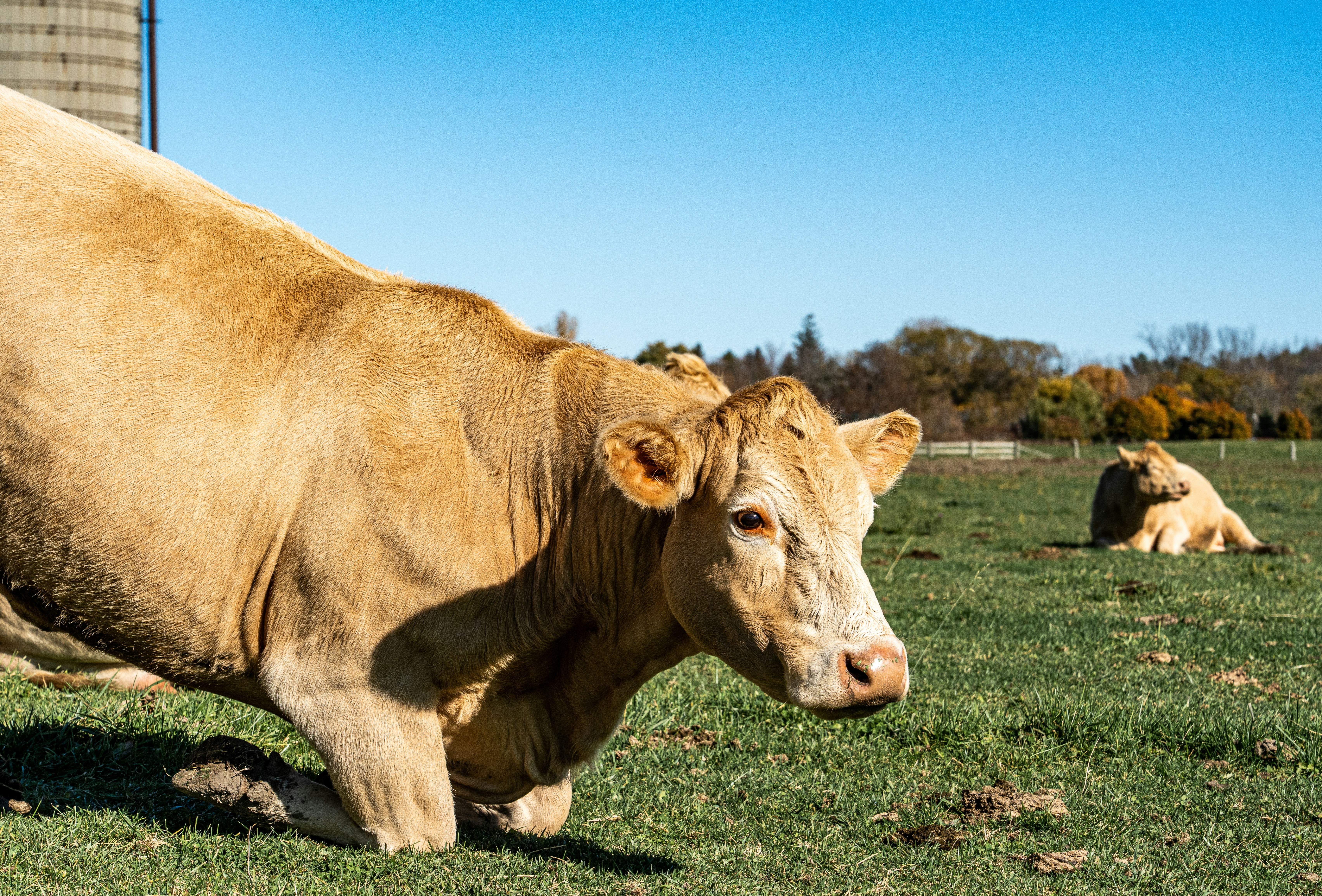 Photo by chris_robert