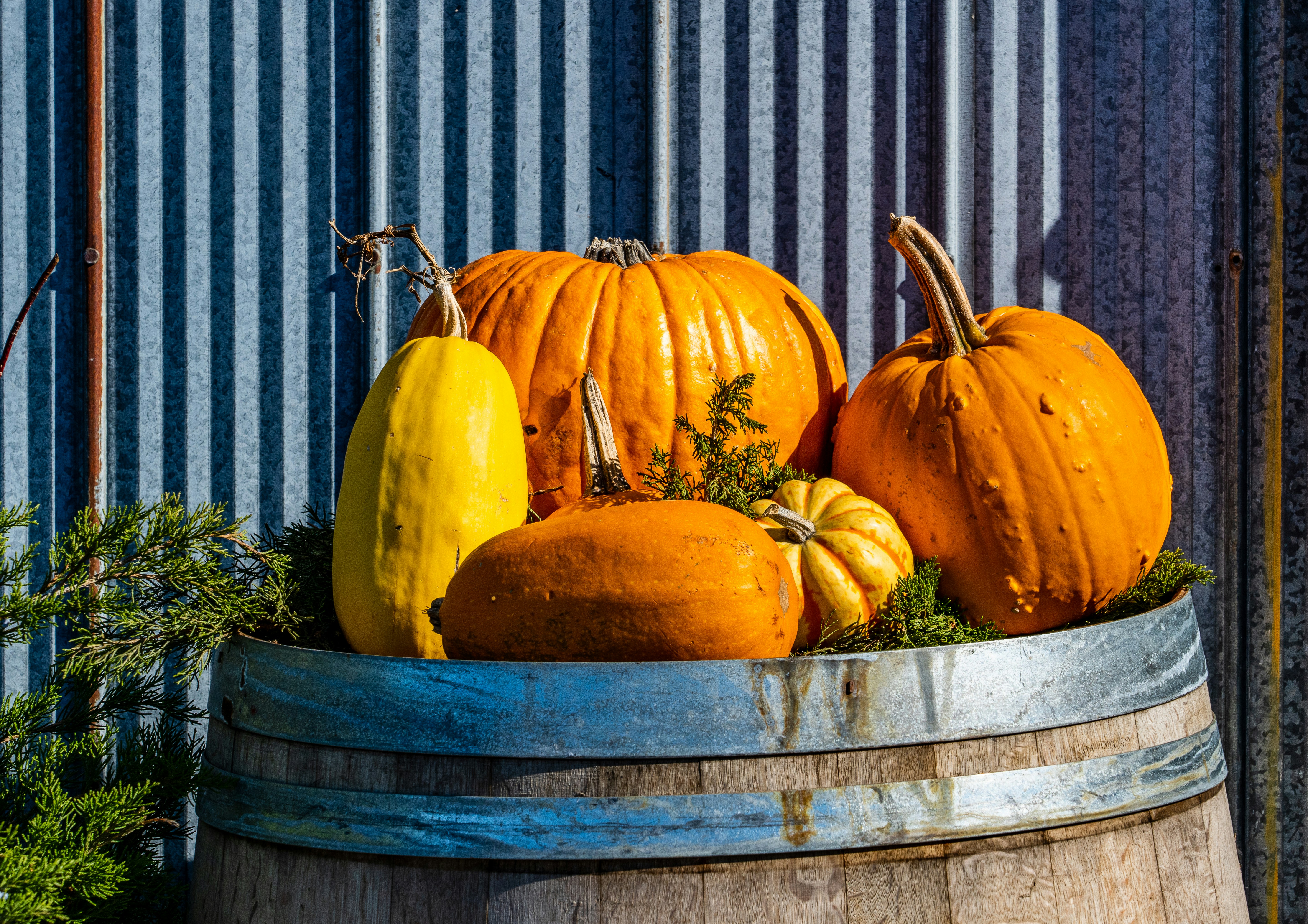 Photo by chris_robert