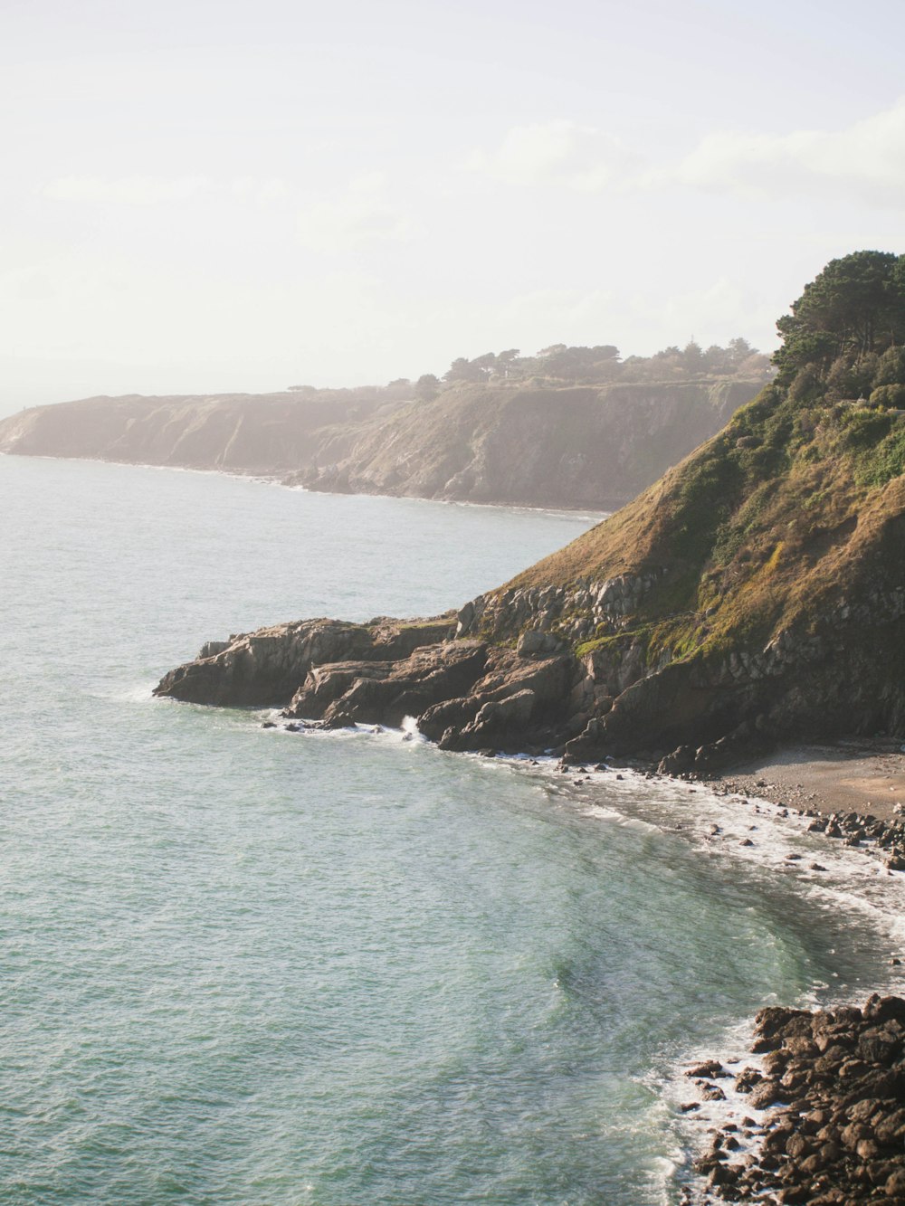 a rocky beach with a cliff and trees on the side