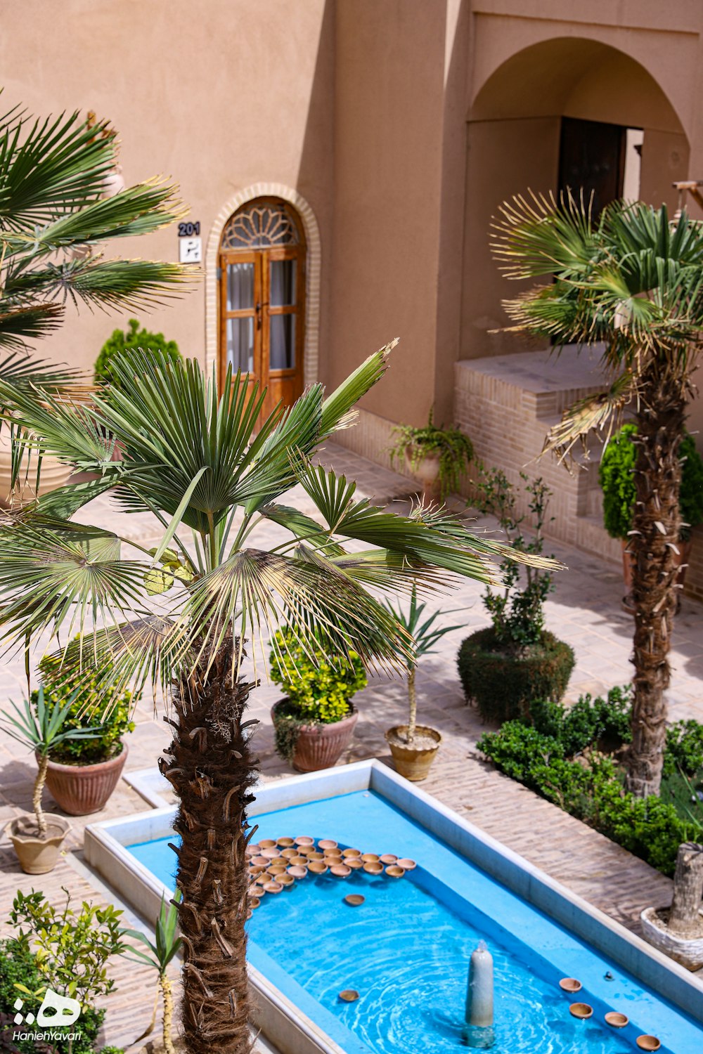 une piscine avec des palmiers et un bâtiment en arrière-plan