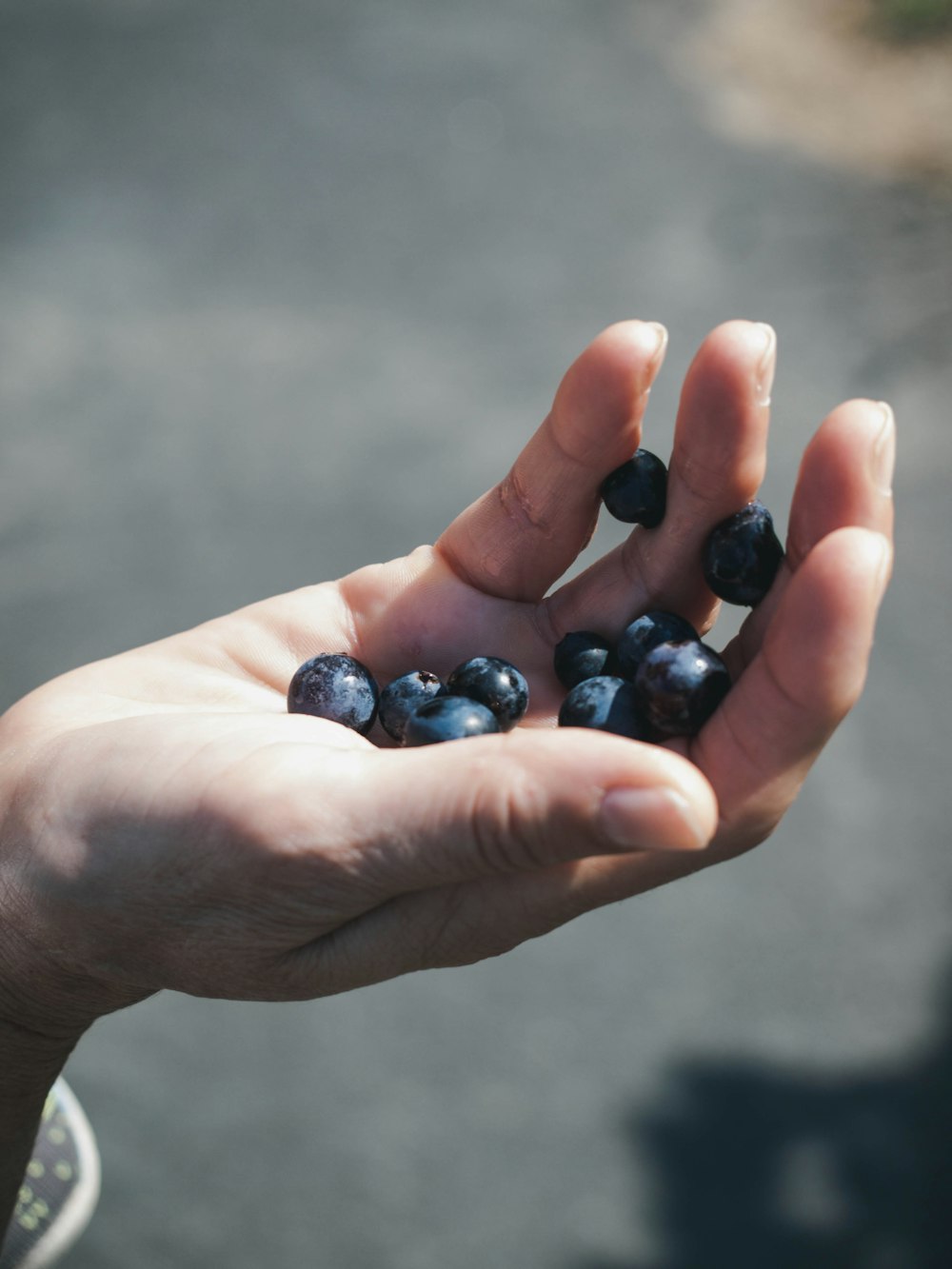 a hand holding black berries