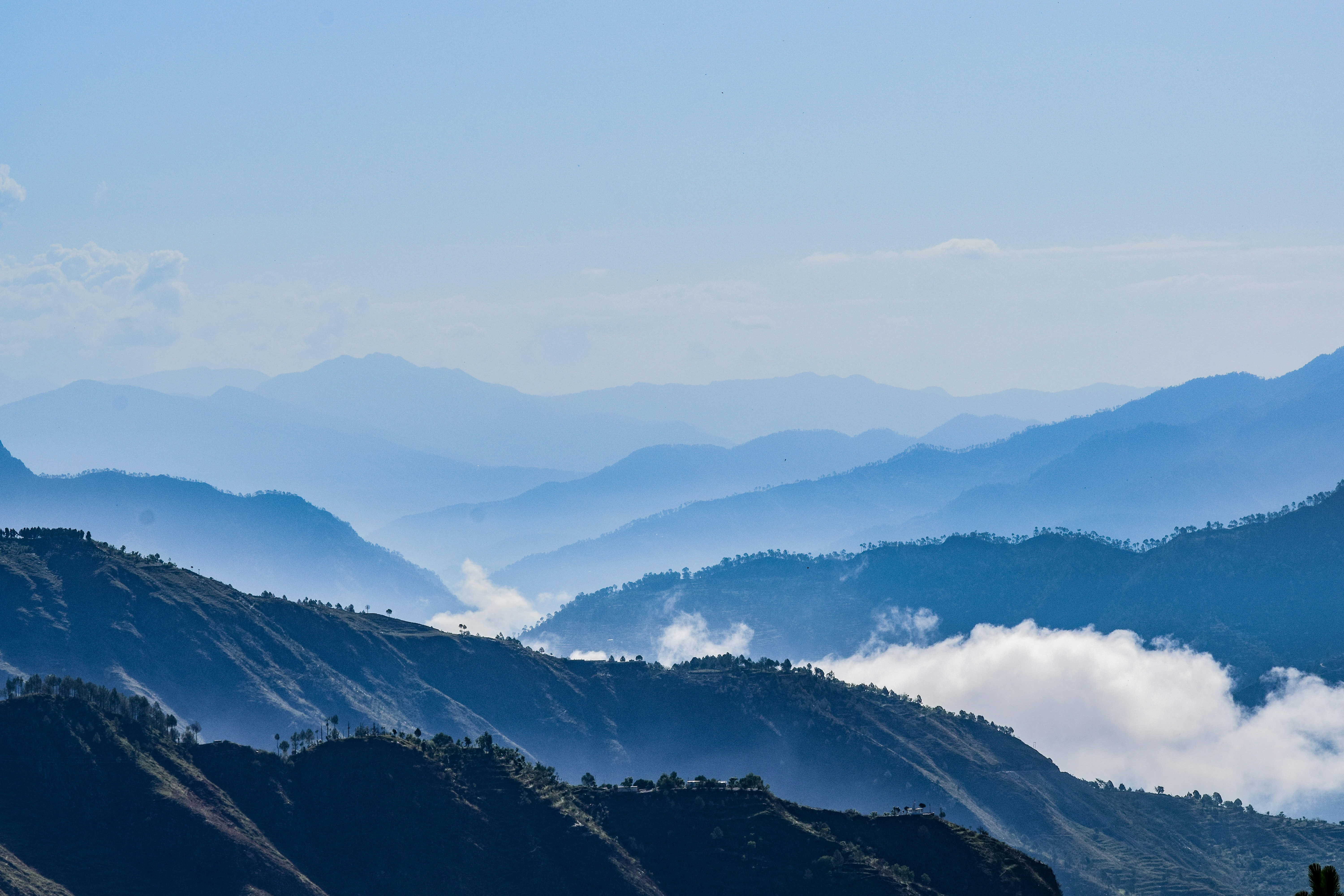 Photo by moonmelonpizza