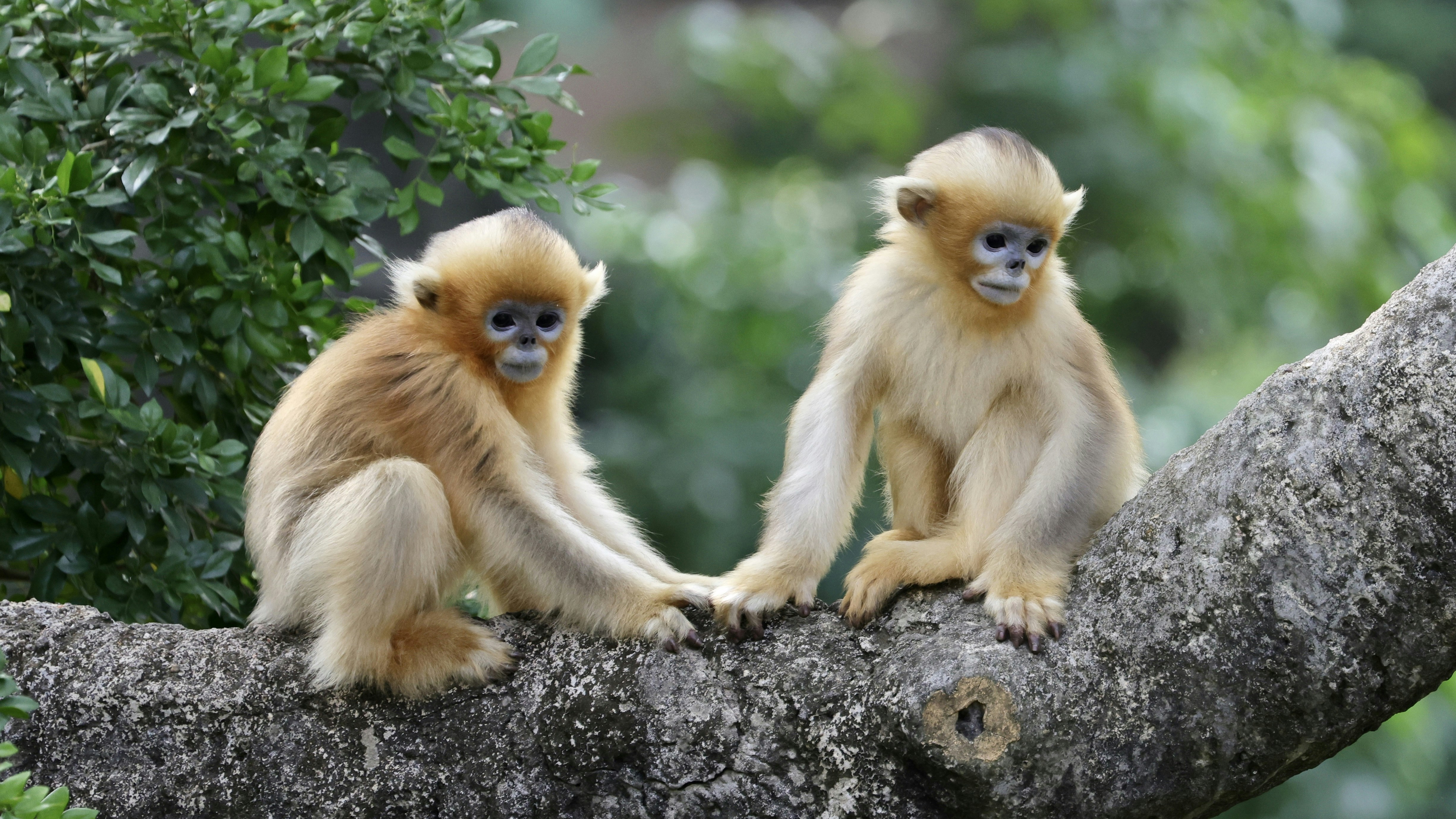 Photo by dickenslin76