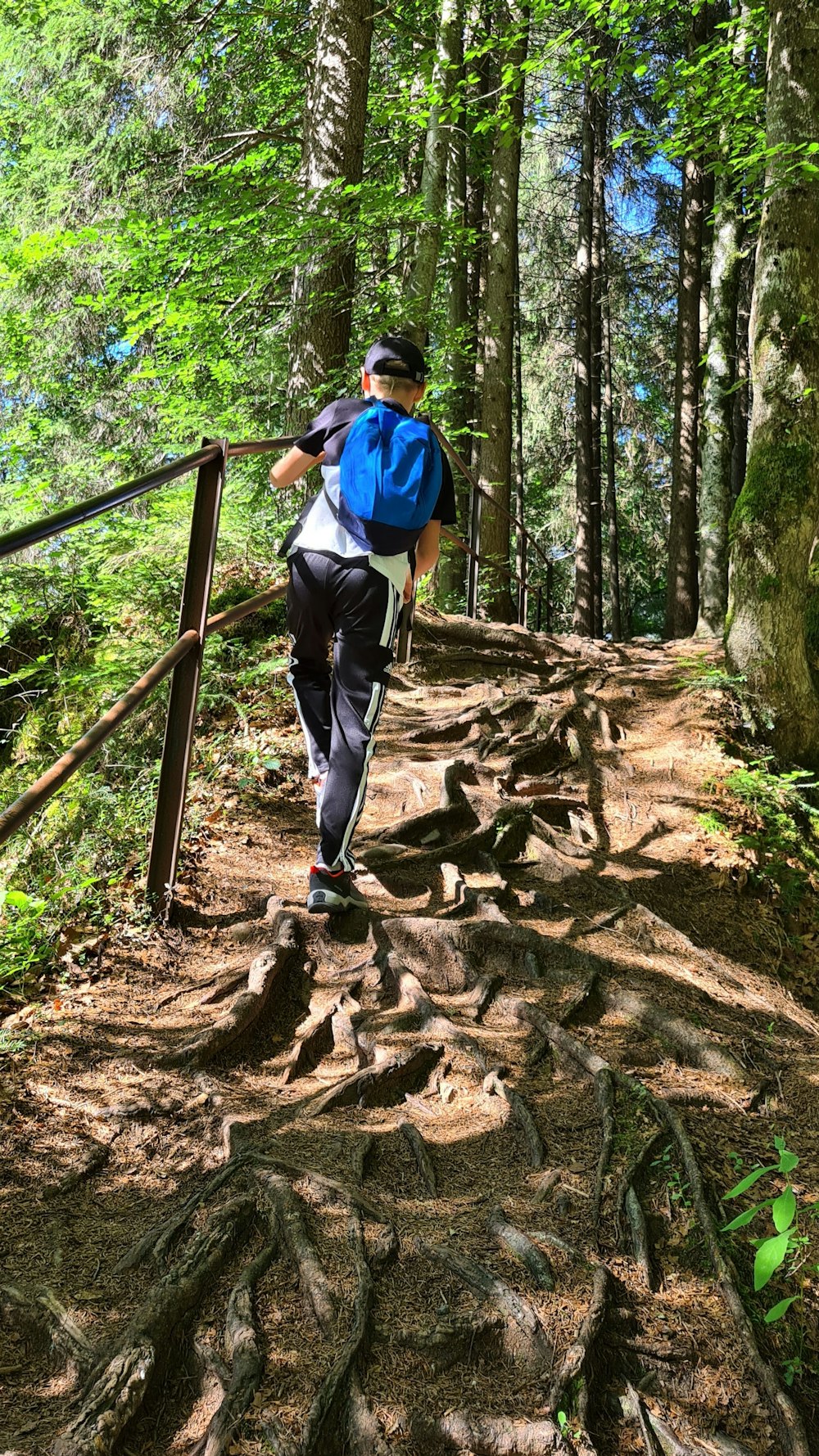 a person climbing a rock