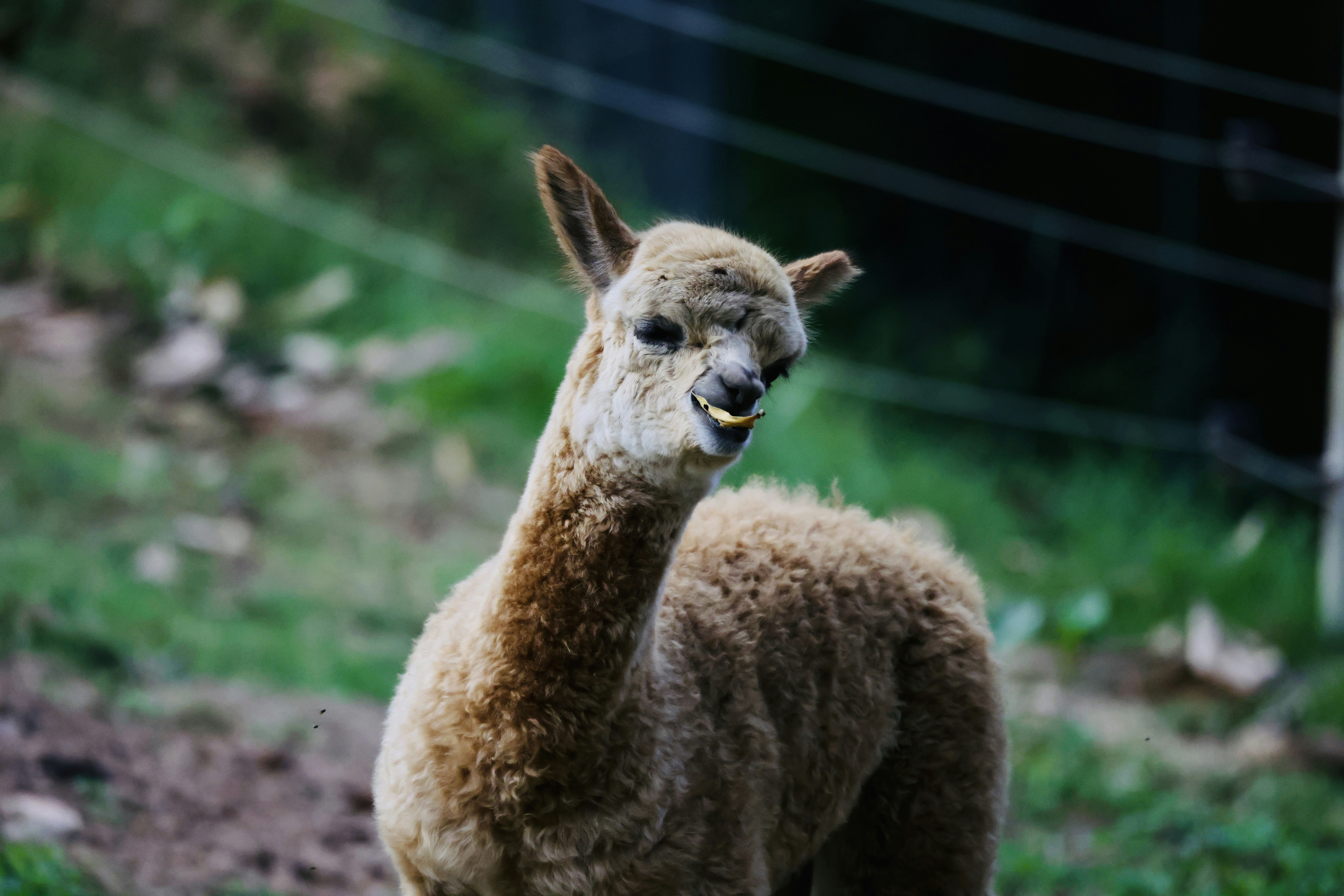 Photo by dickenslin76