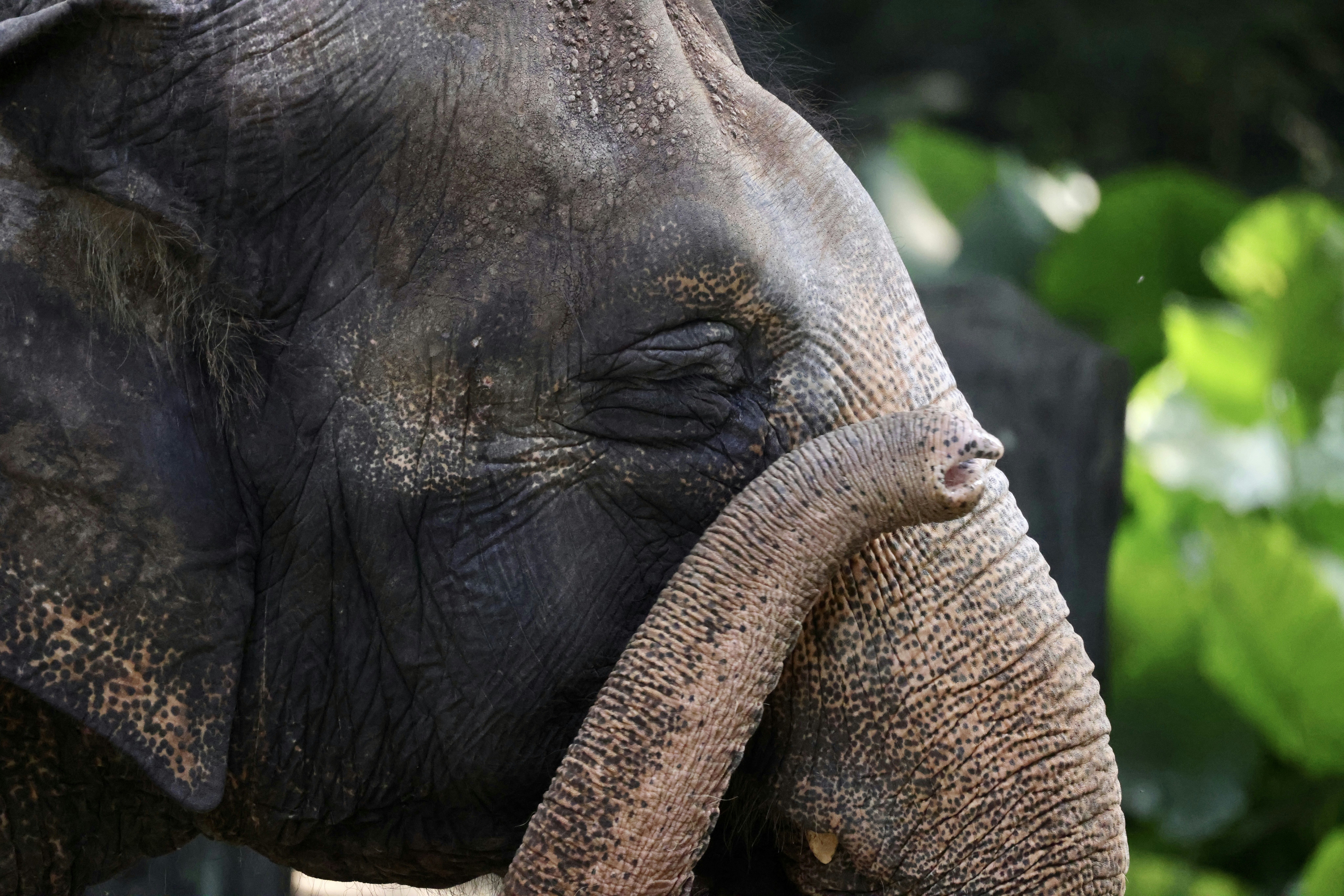 Photo by dickenslin76