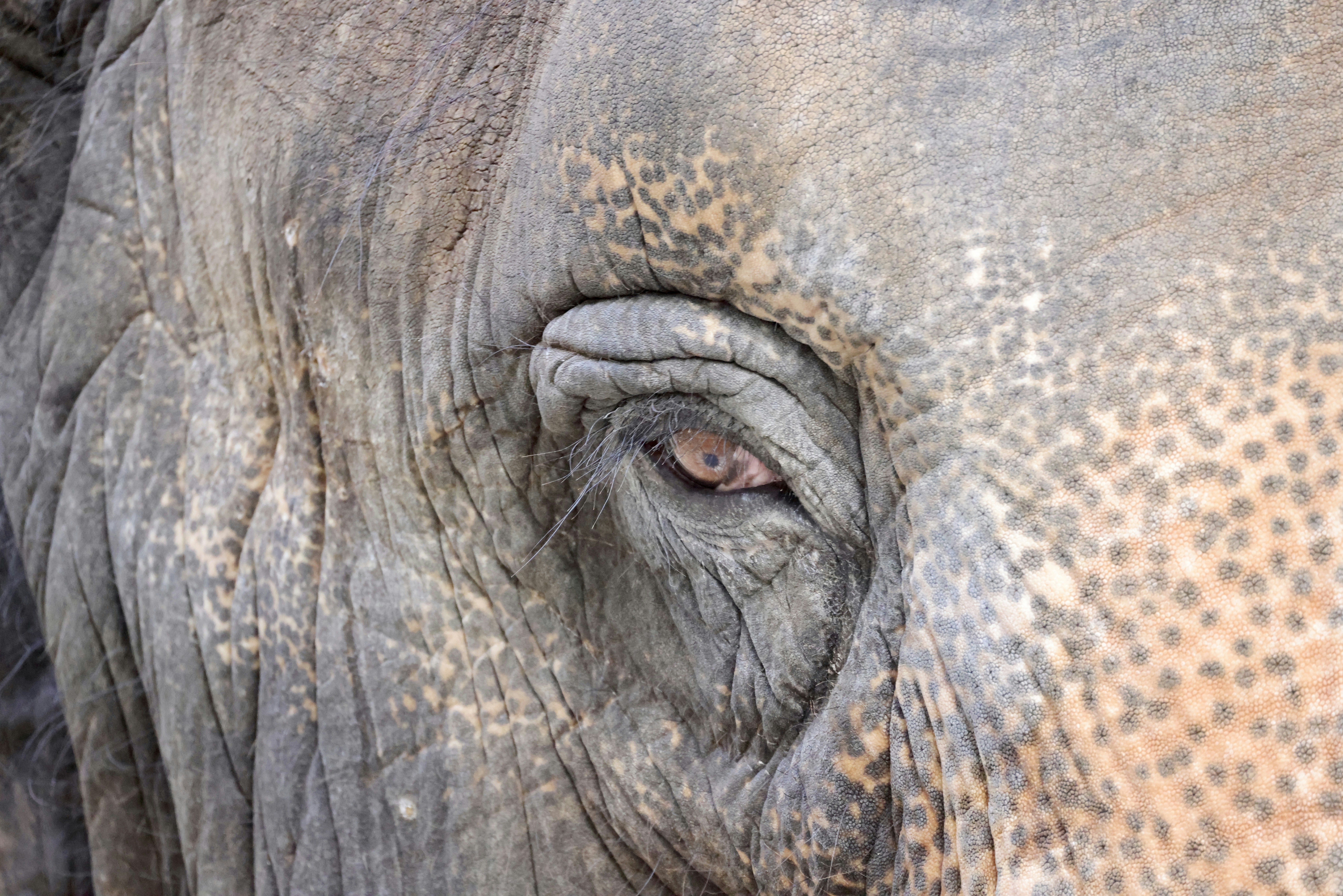 Photo by dickenslin76