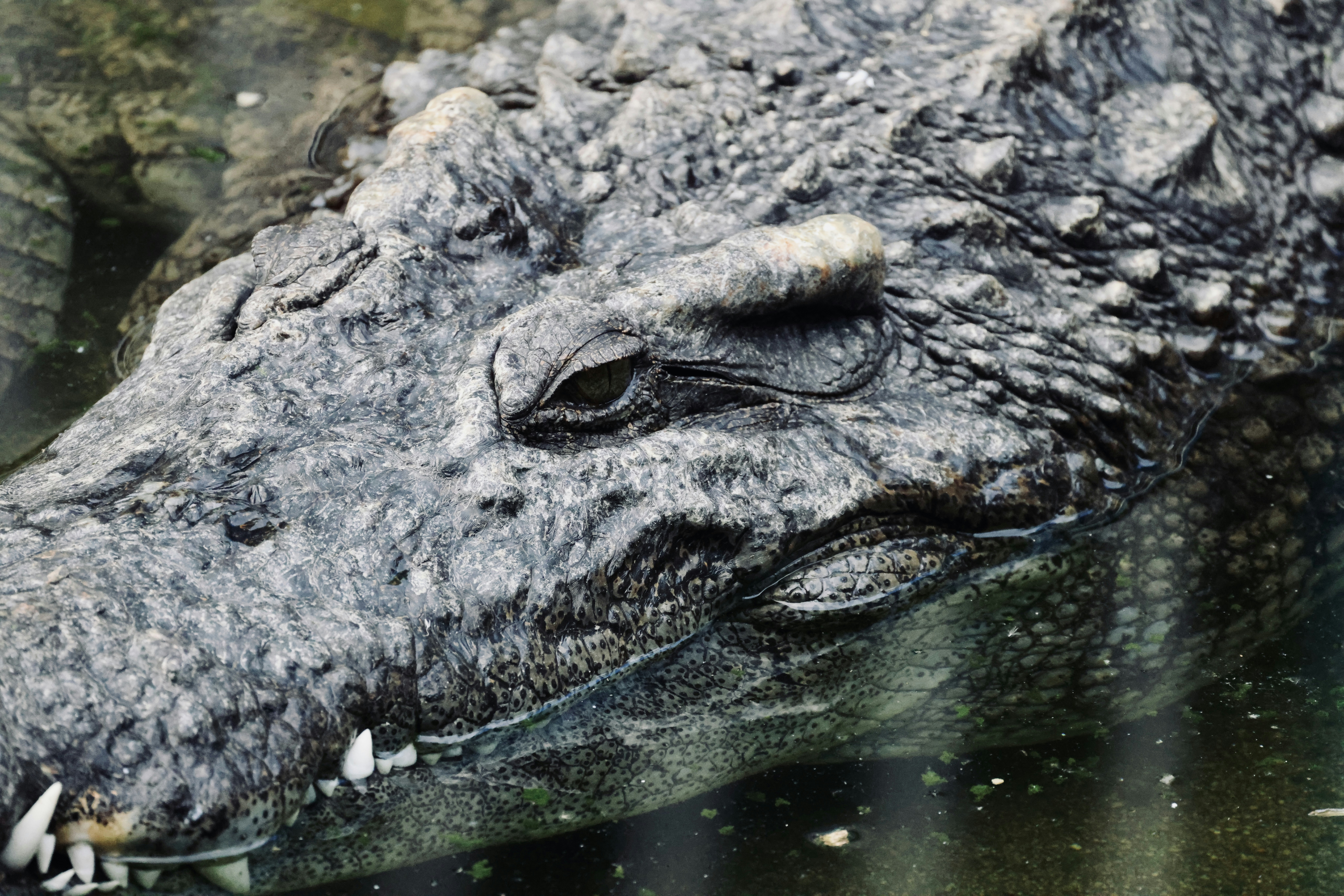 Photo by dickenslin76