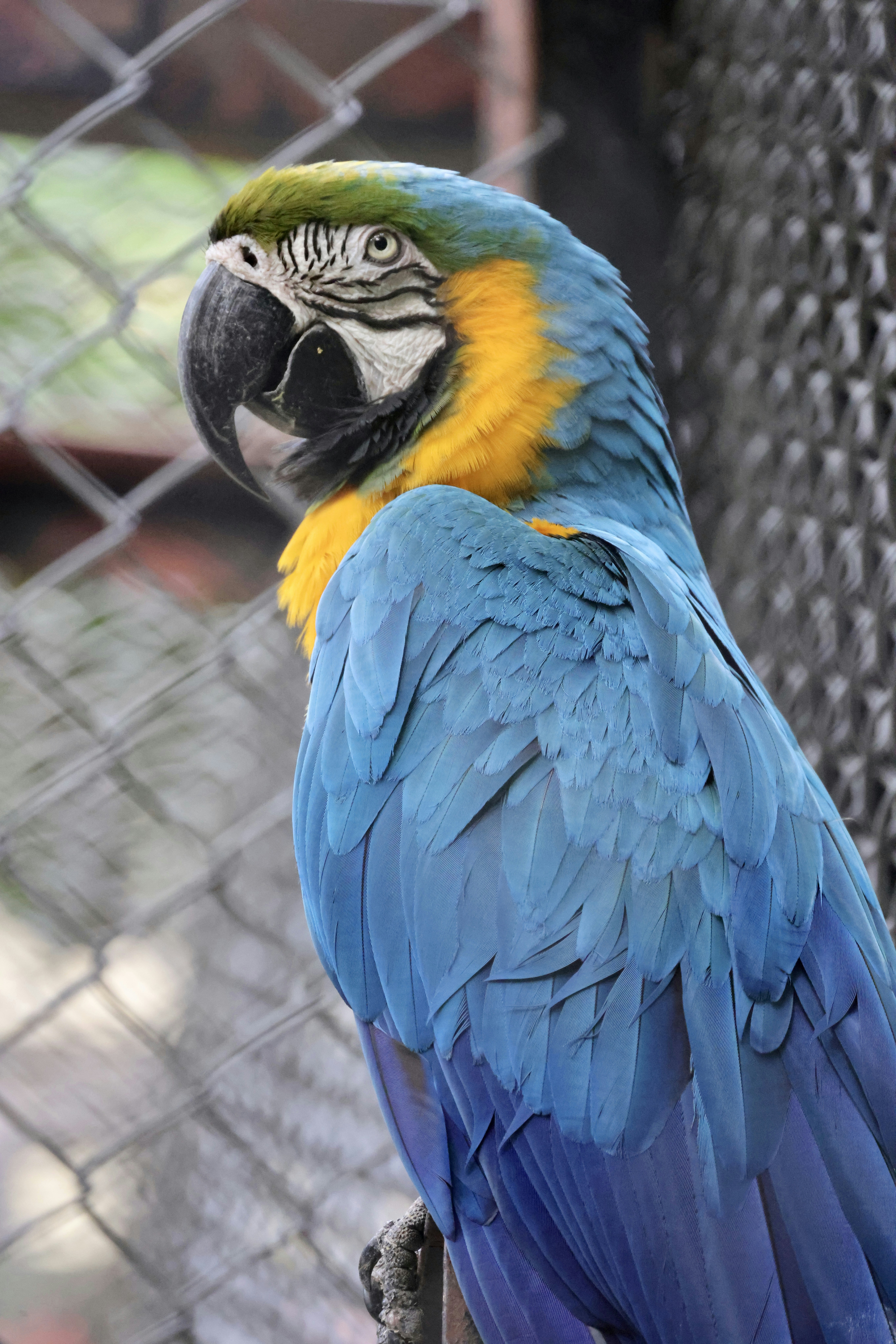 Photo by dickenslin76