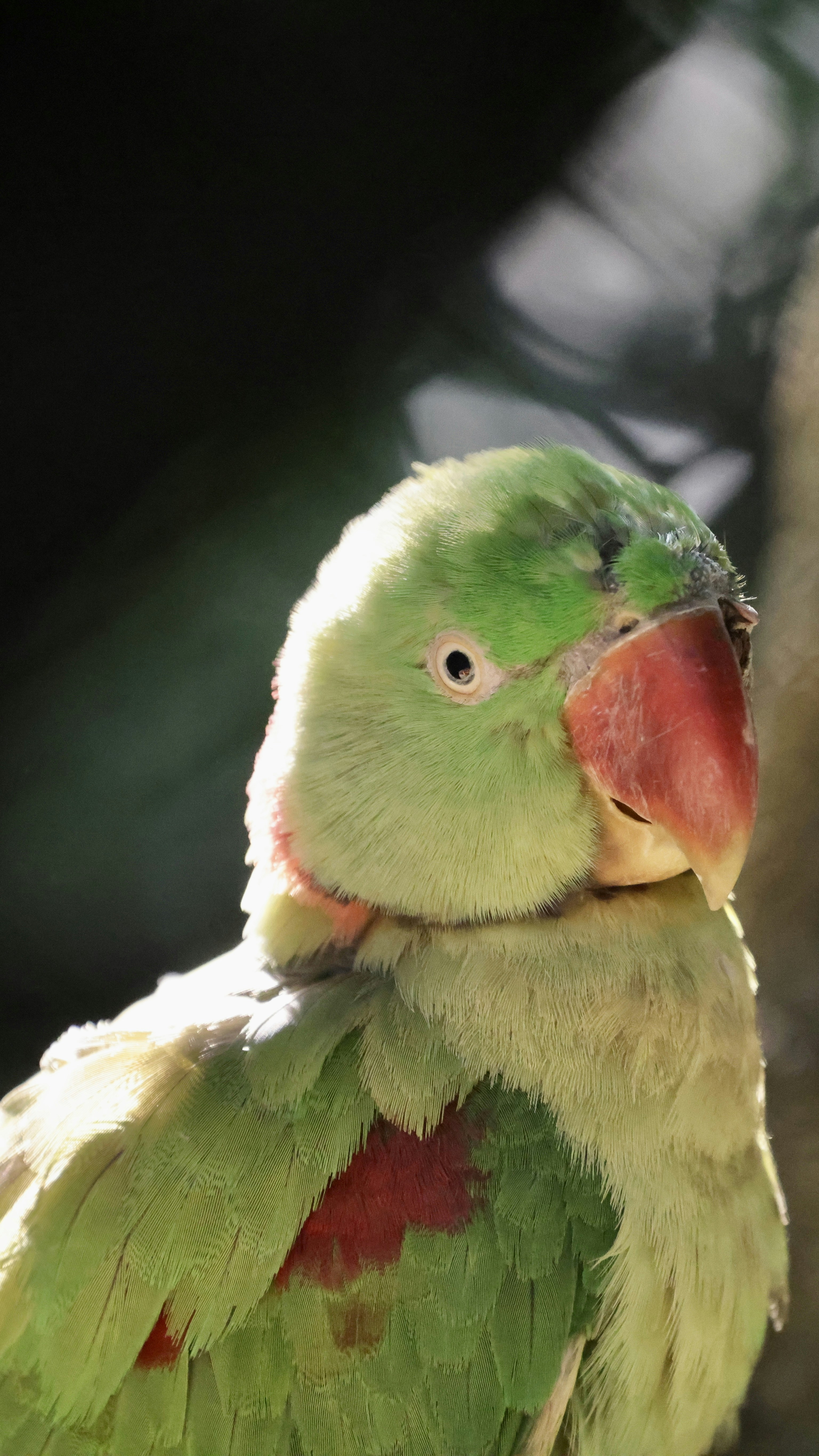 Photo by dickenslin76