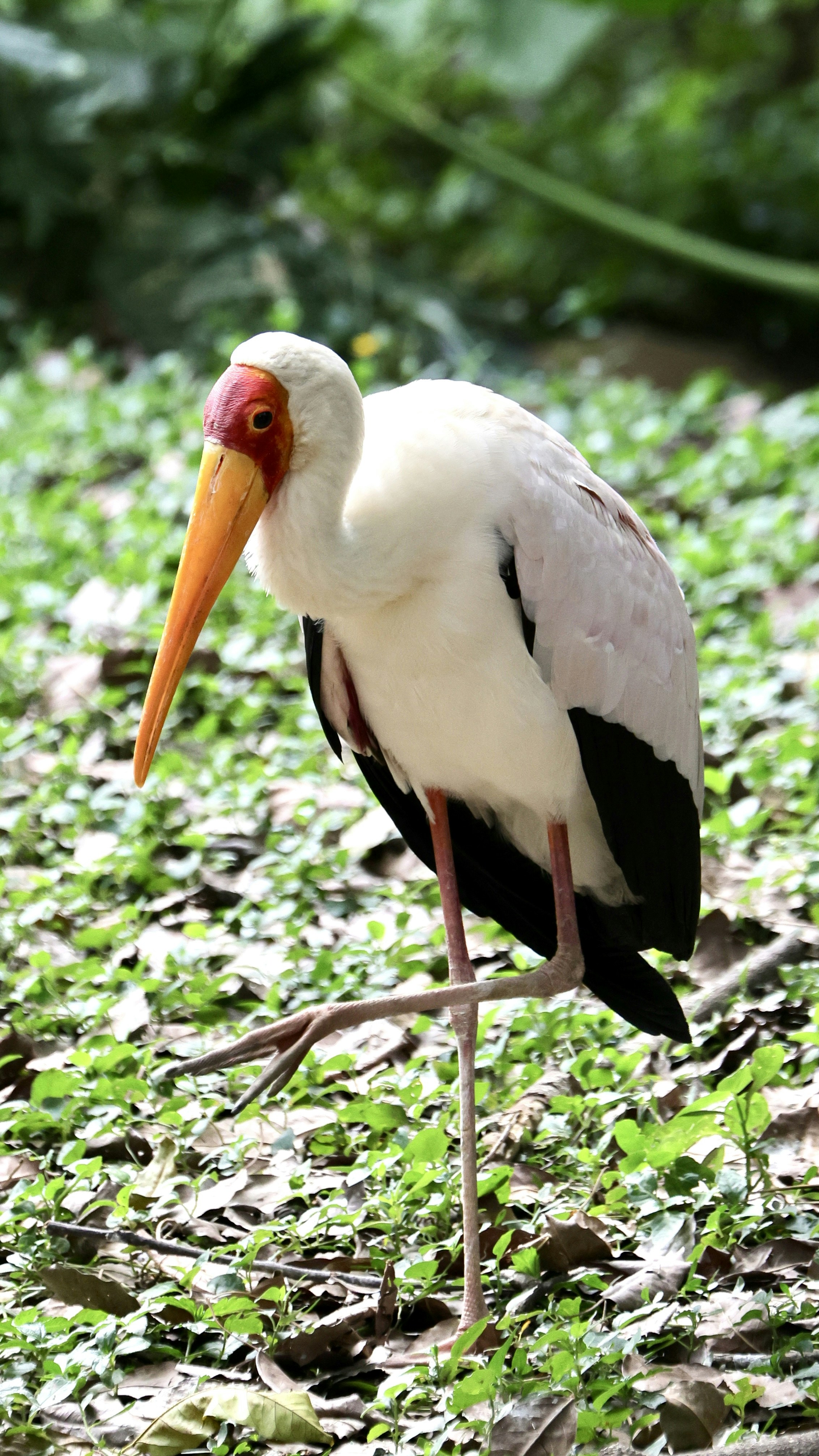 Photo by dickenslin76