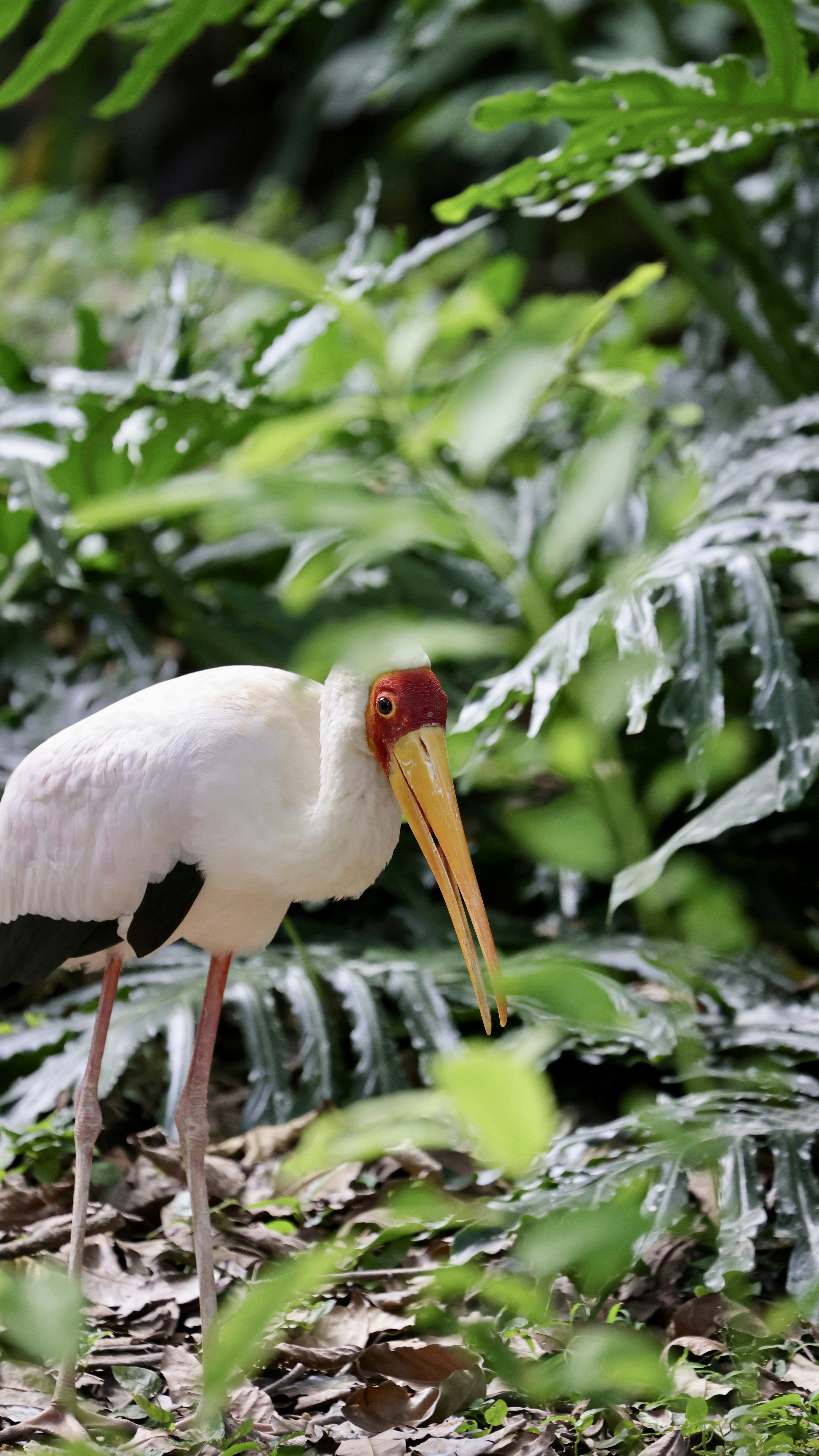 Photo by dickenslin76