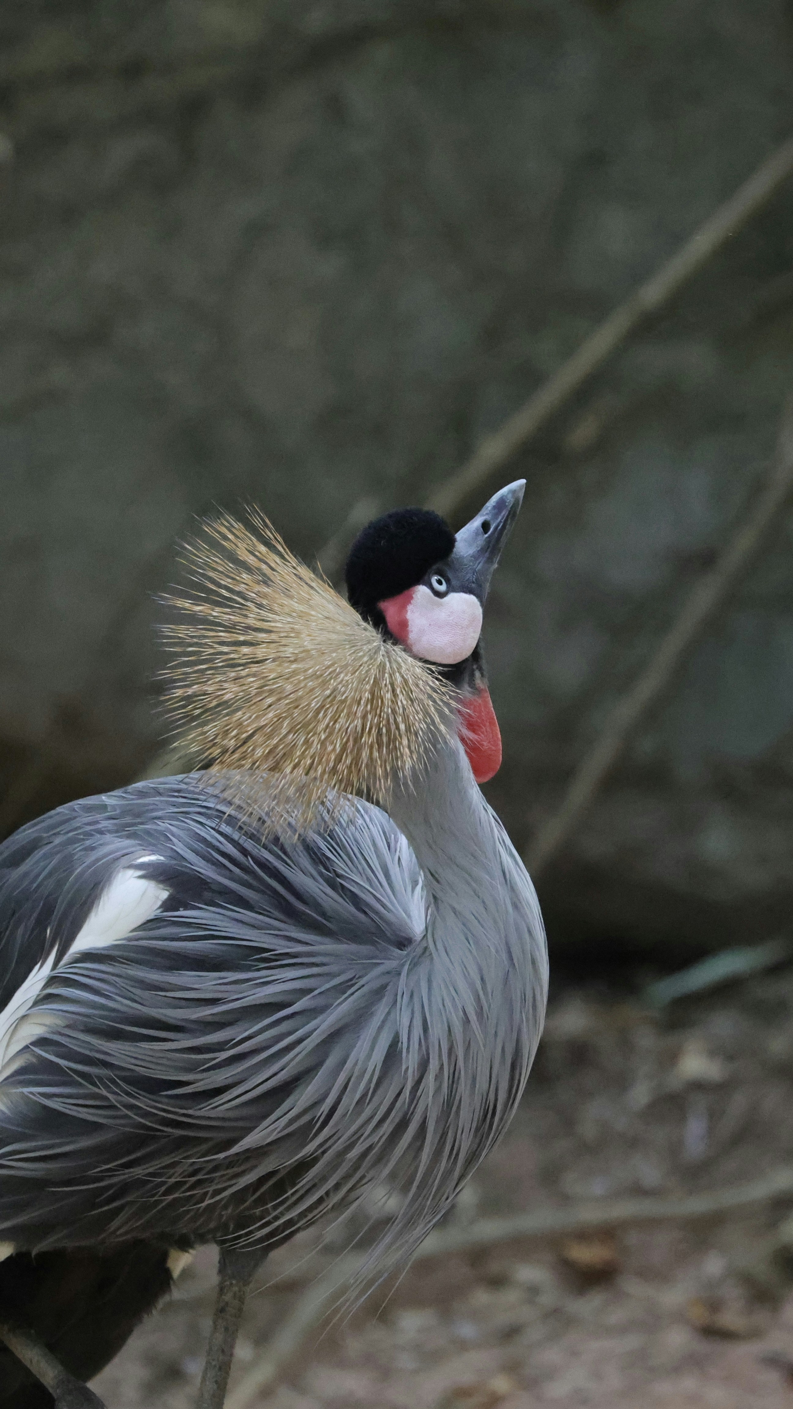 Photo by dickenslin76