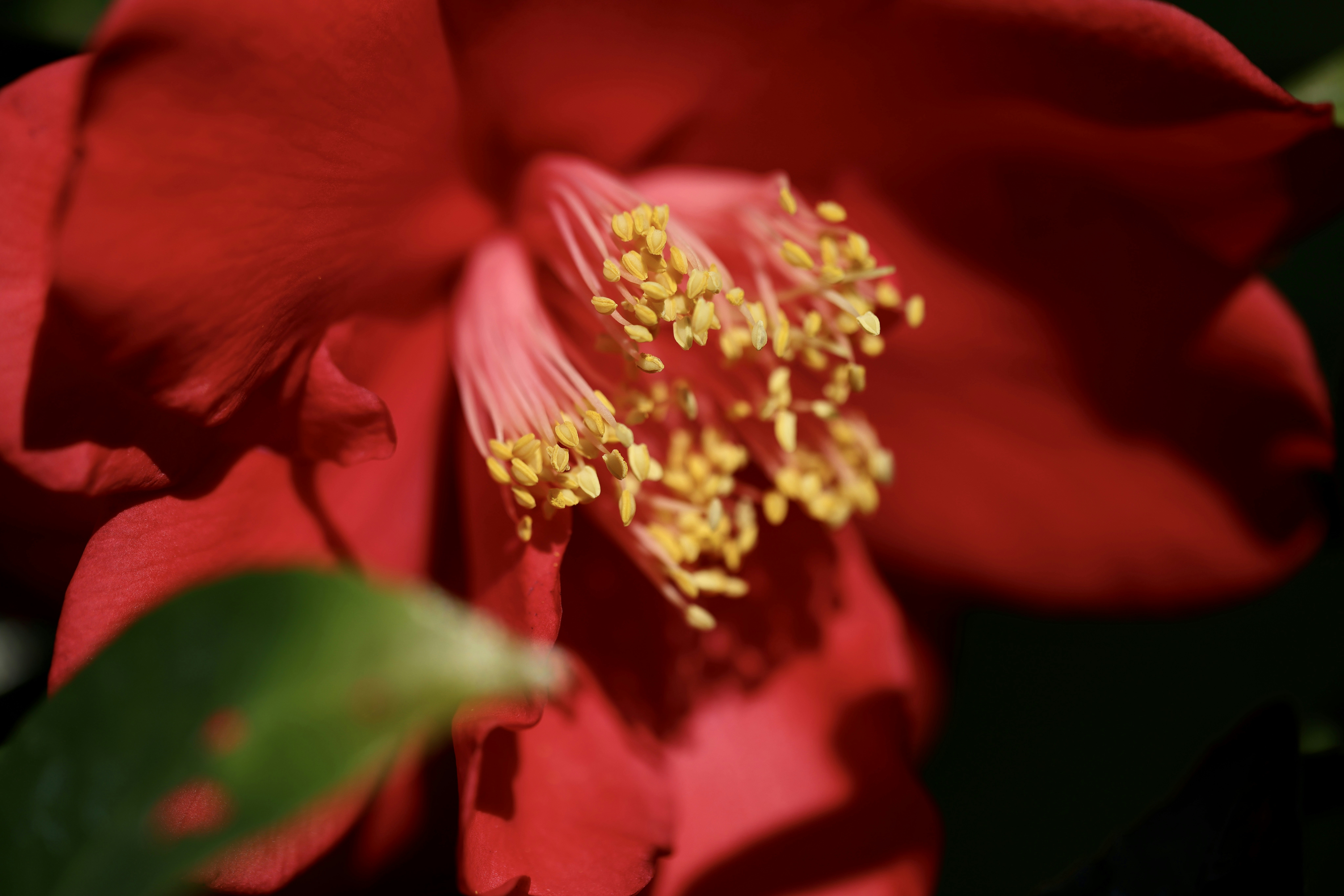 Photo by dickenslin76