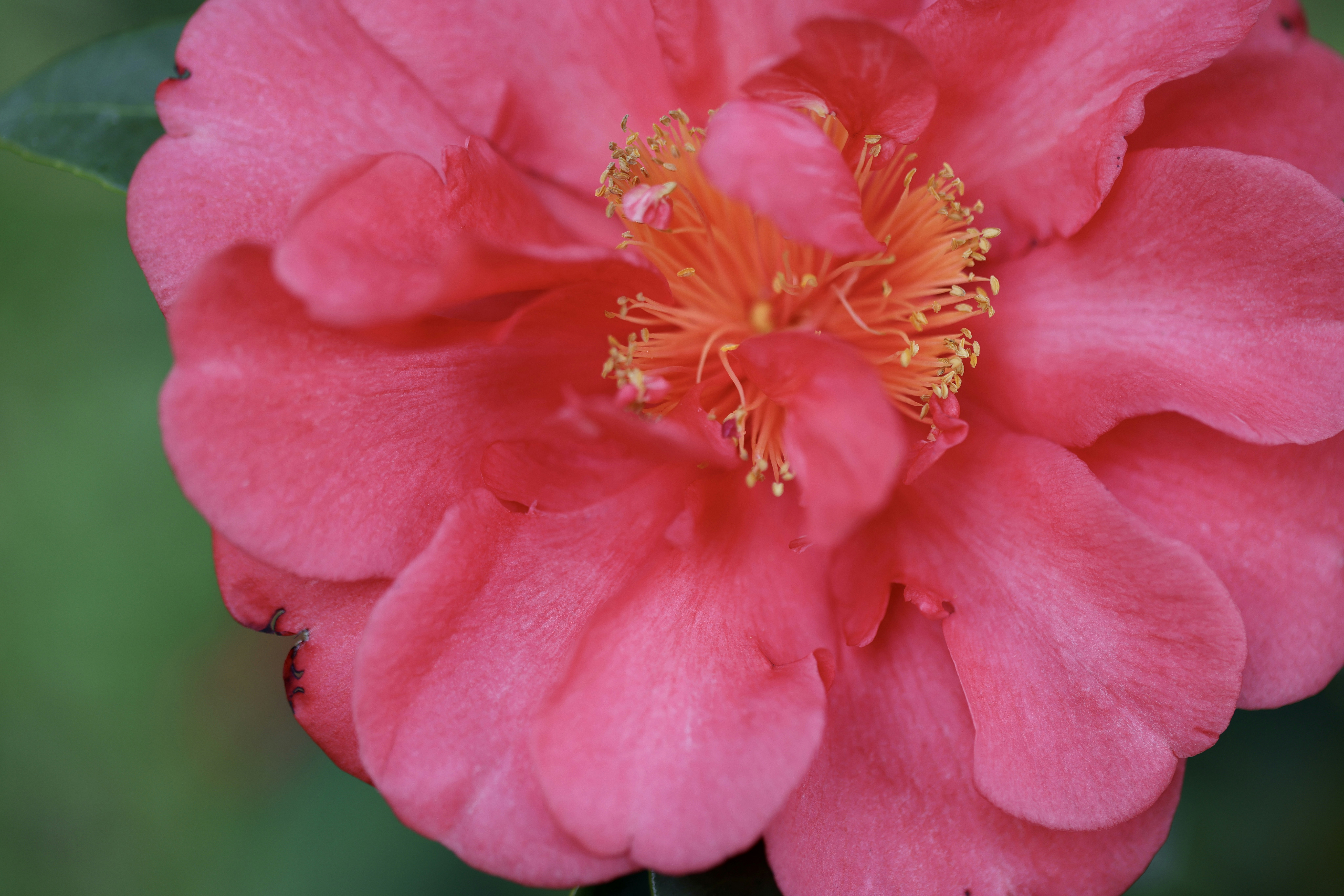 Photo by dickenslin76