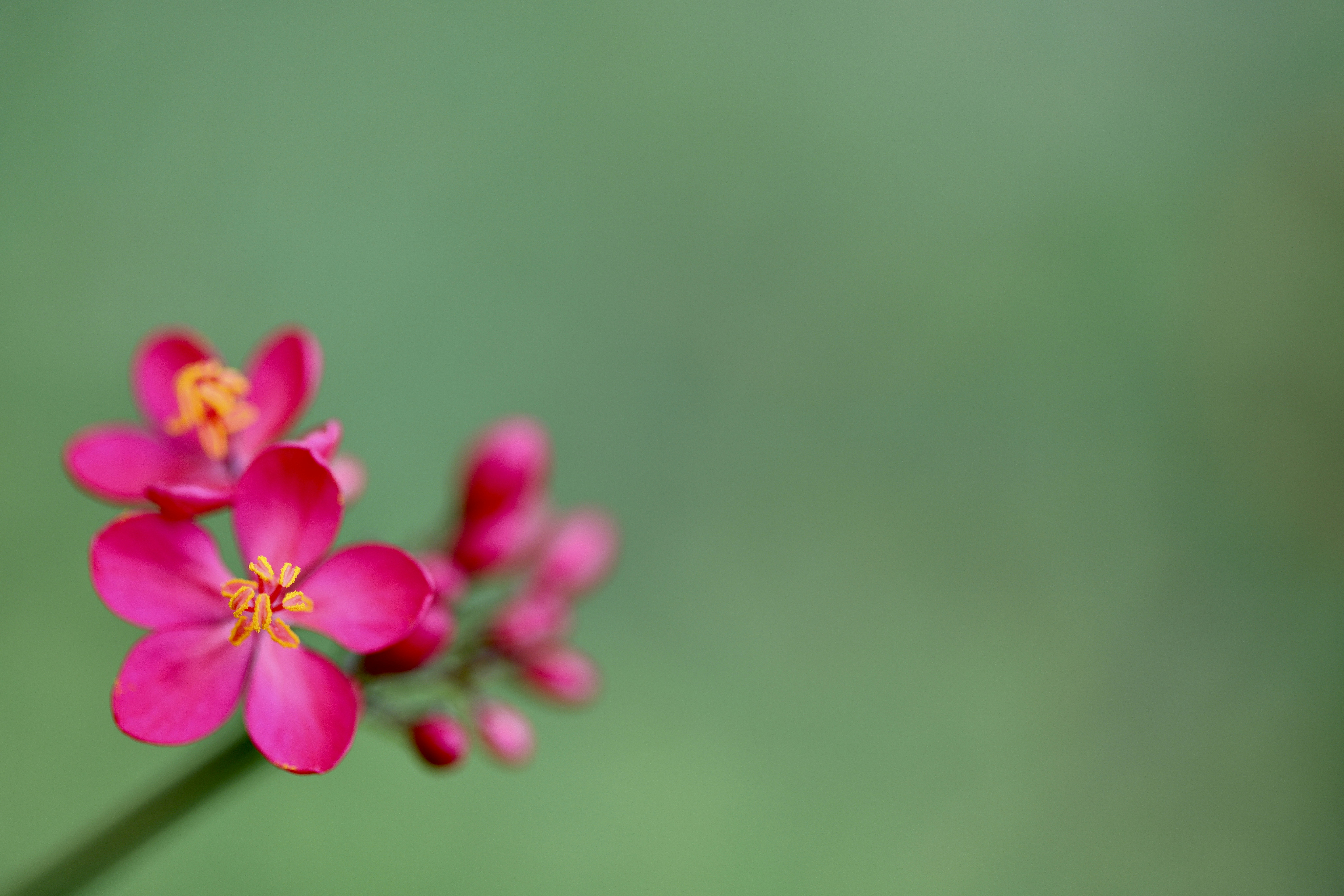 Photo by dickenslin76