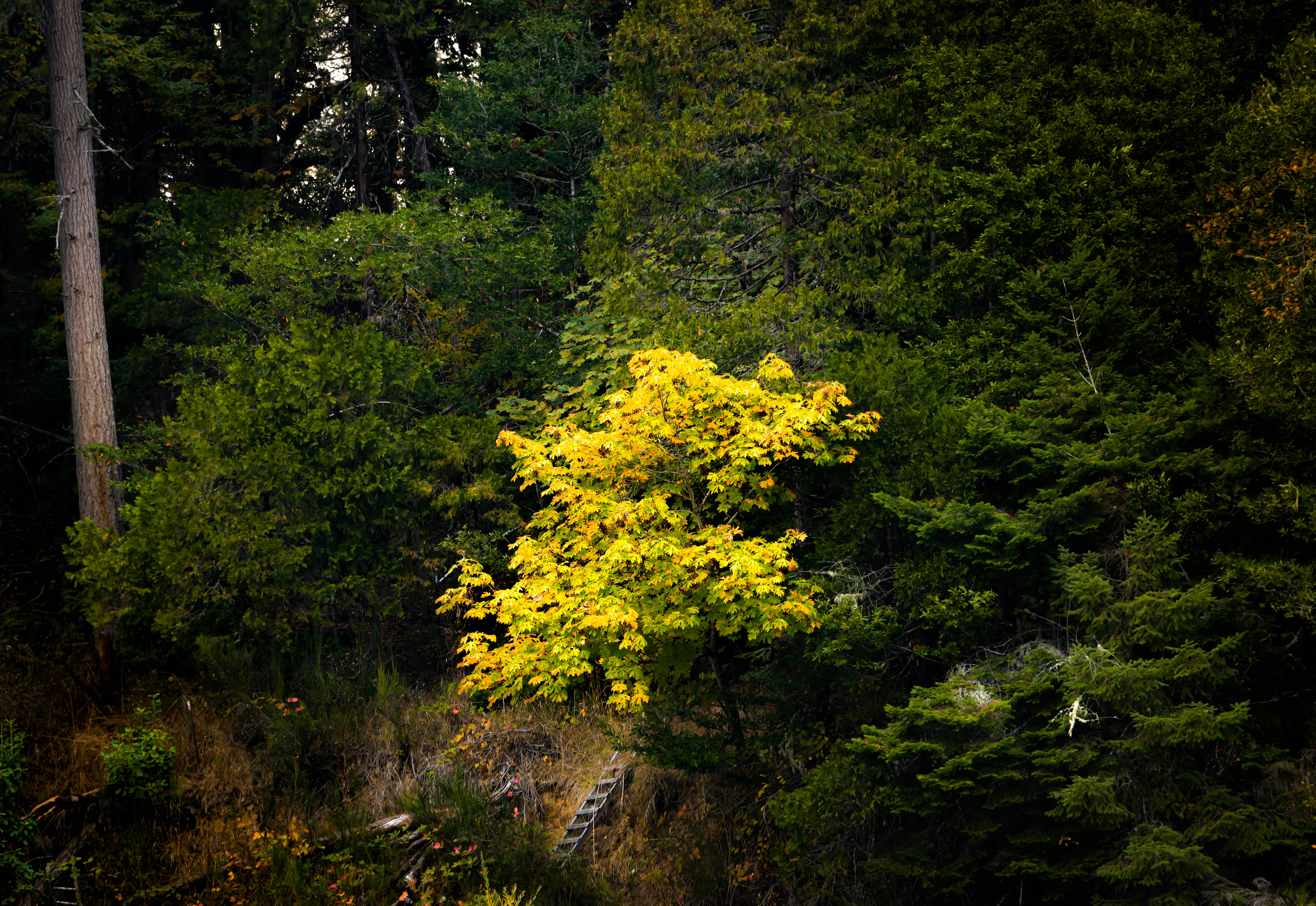 Photo by davidjboozer