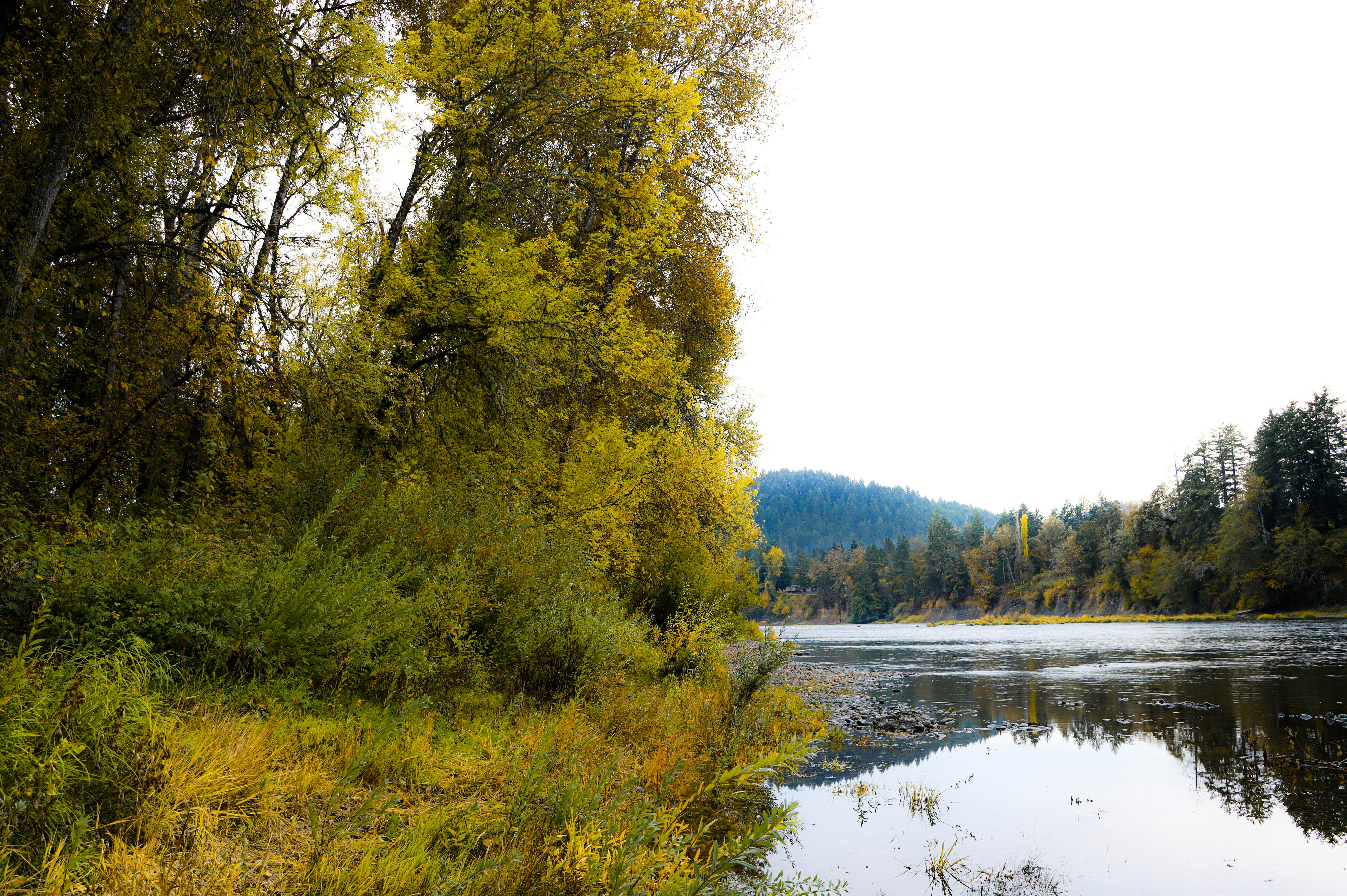 Photo by davidjboozer