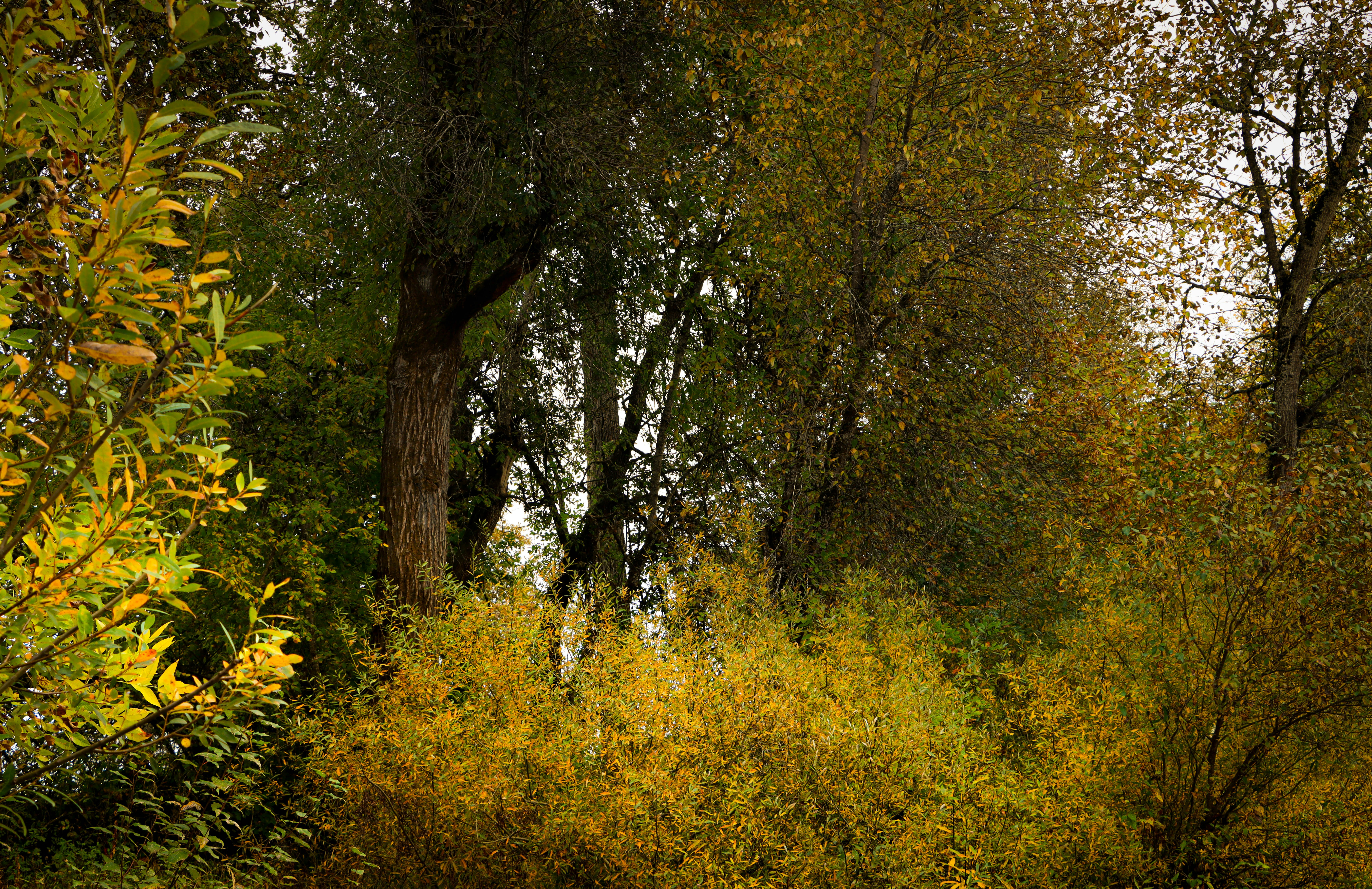 Photo by davidjboozer