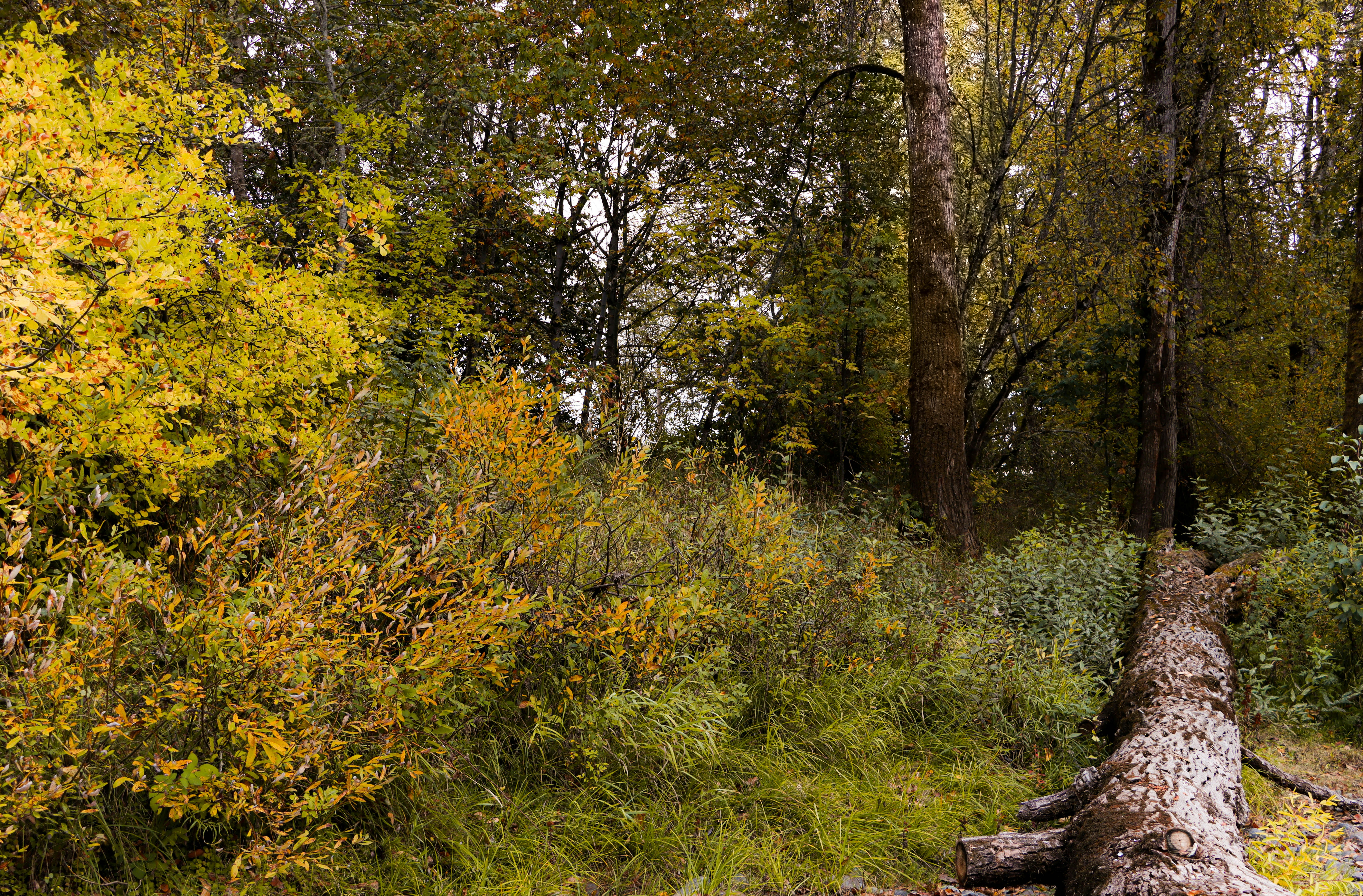 Photo by davidjboozer