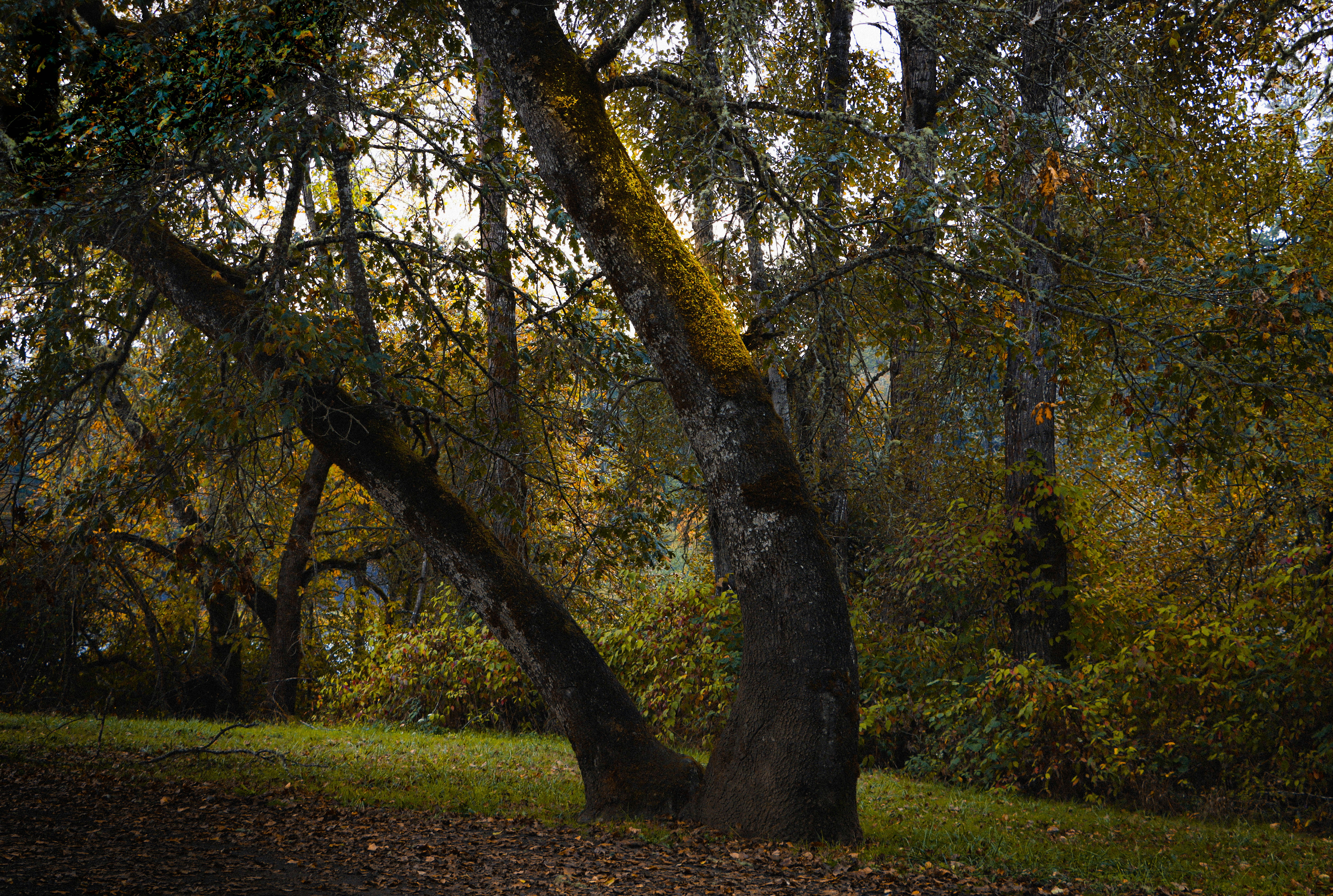 Photo by davidjboozer