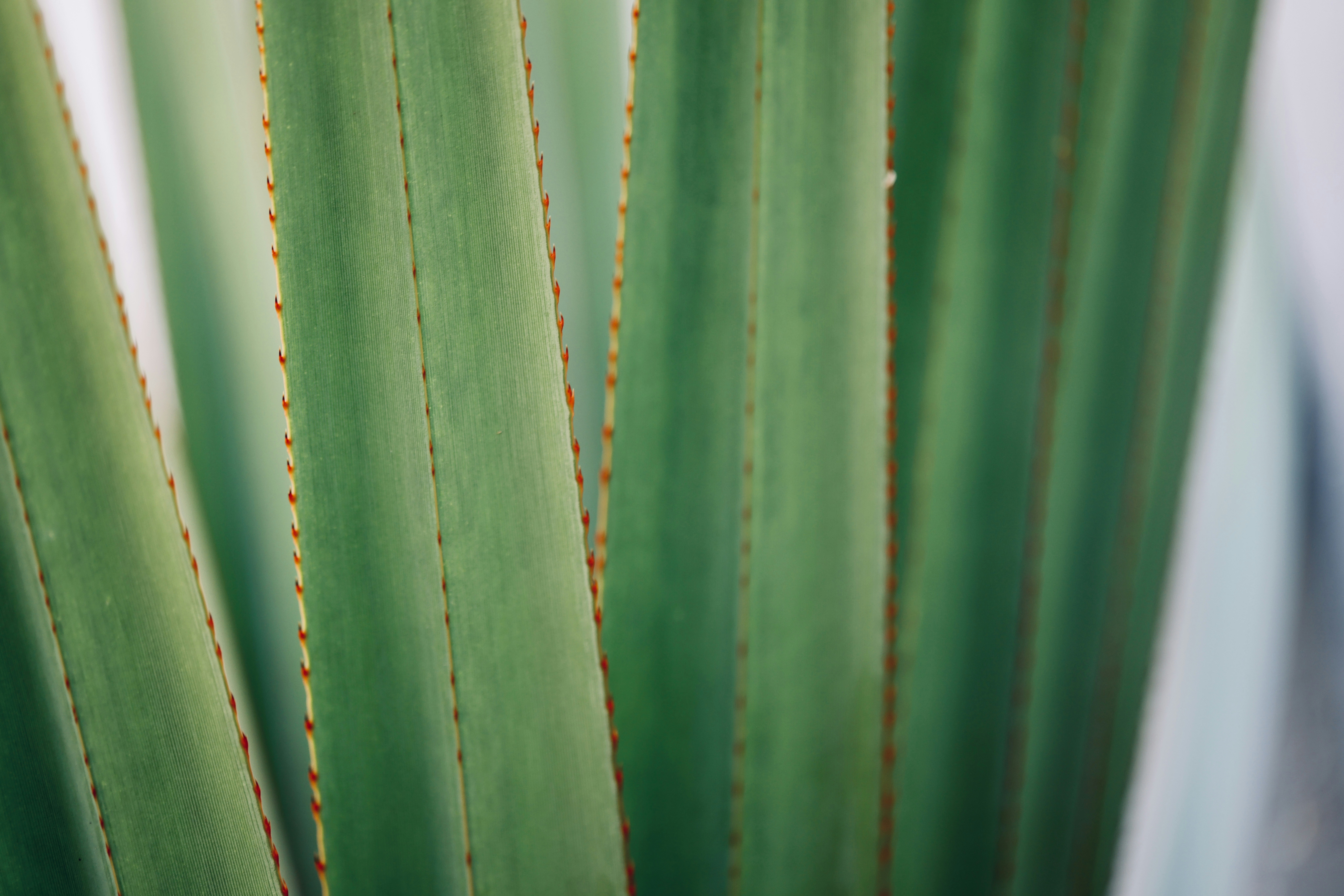 Photo by dickenslin76