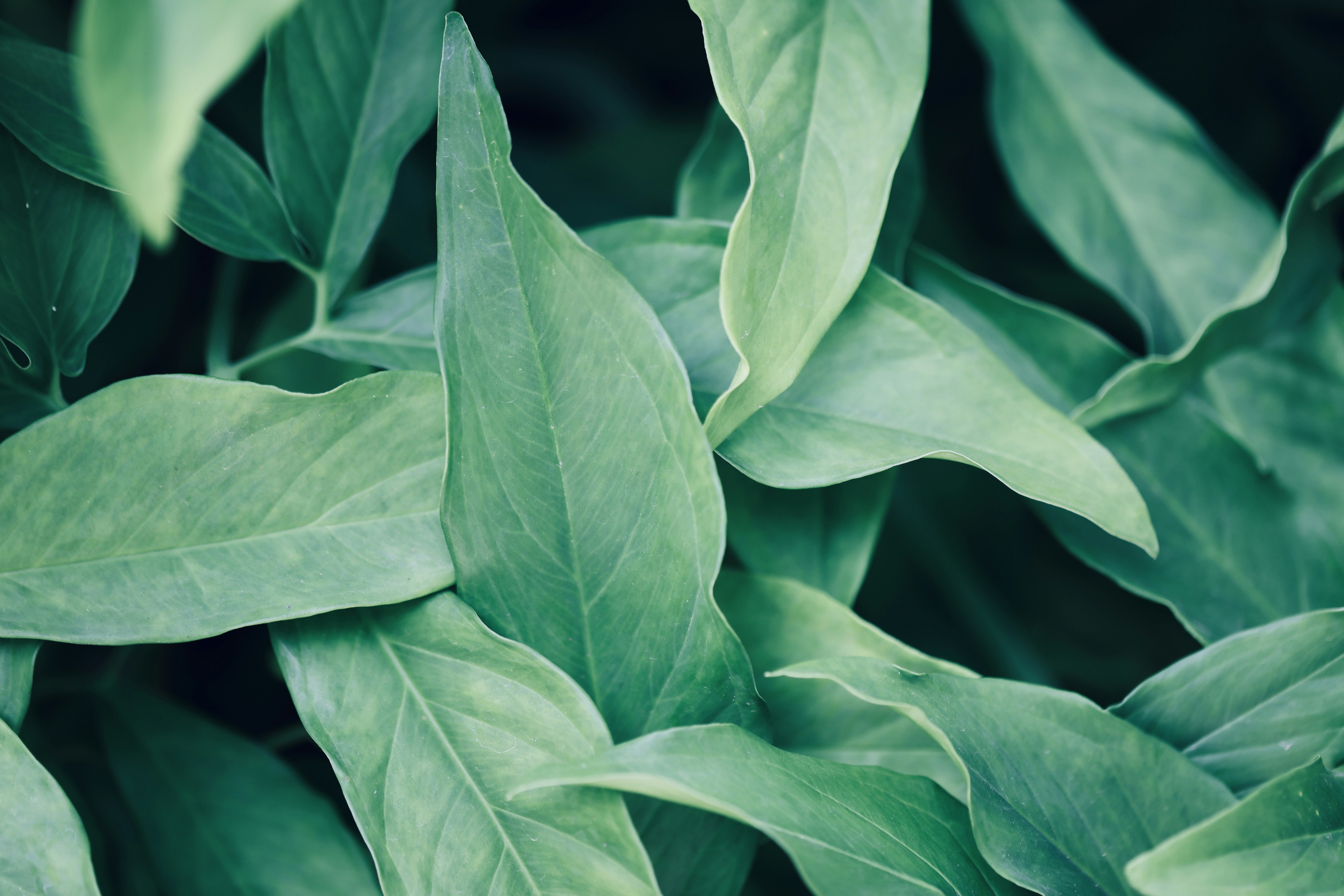 Photo by dickenslin76