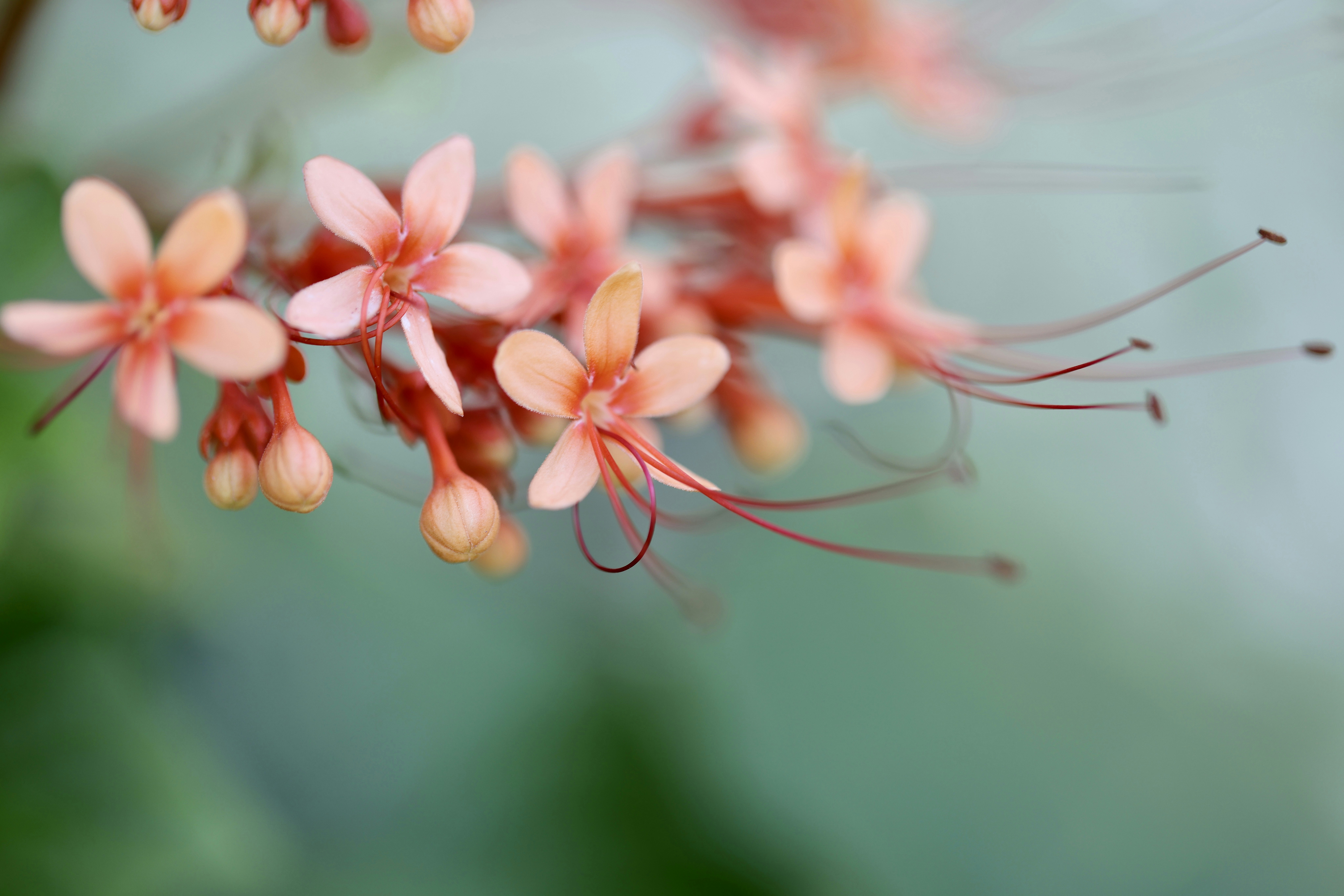 Photo by dickenslin76