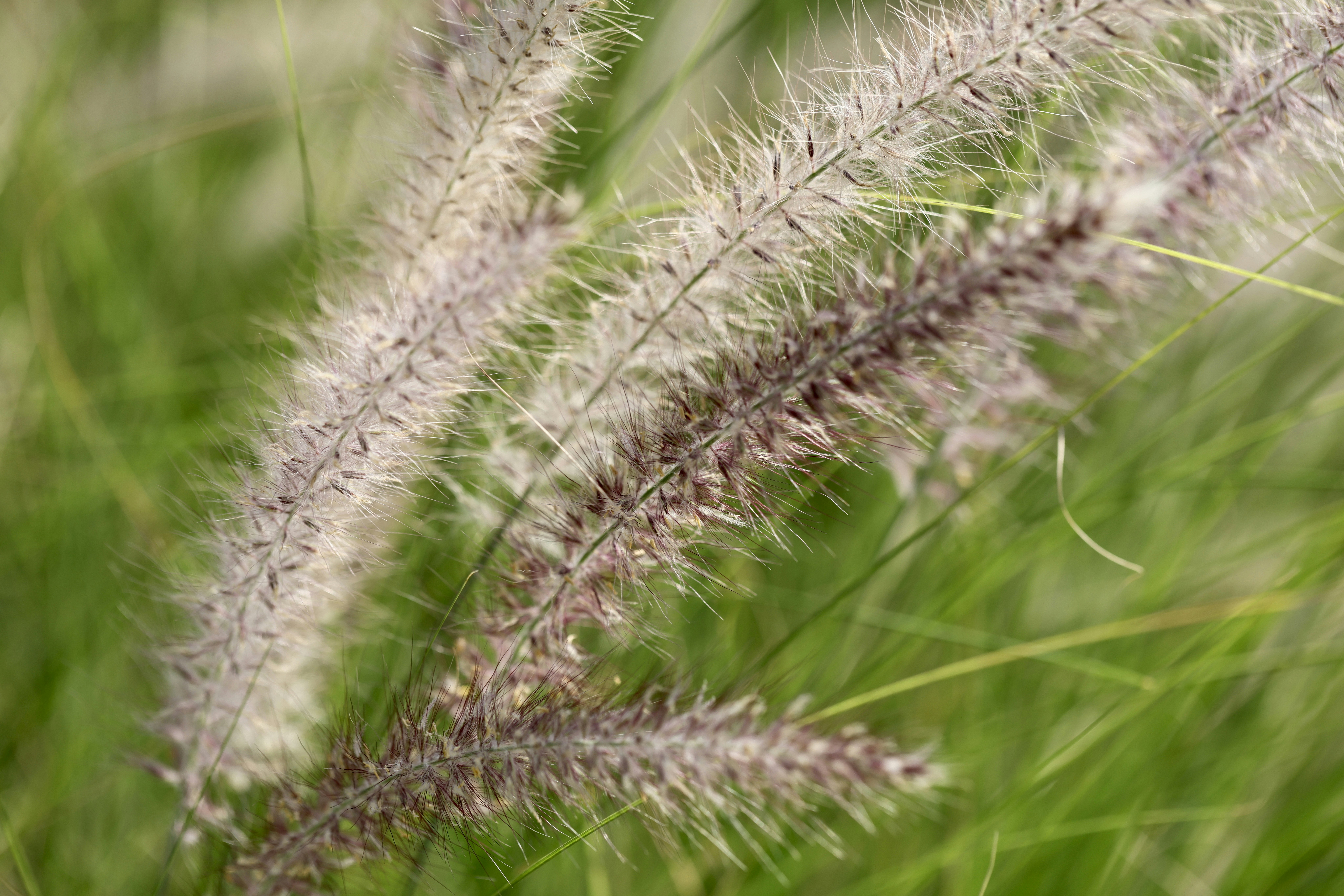 Photo by dickenslin76