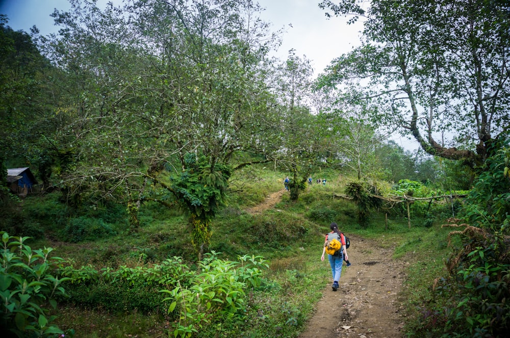 une personne marchant sur un chemin de terre entouré d’arbres et de plantes