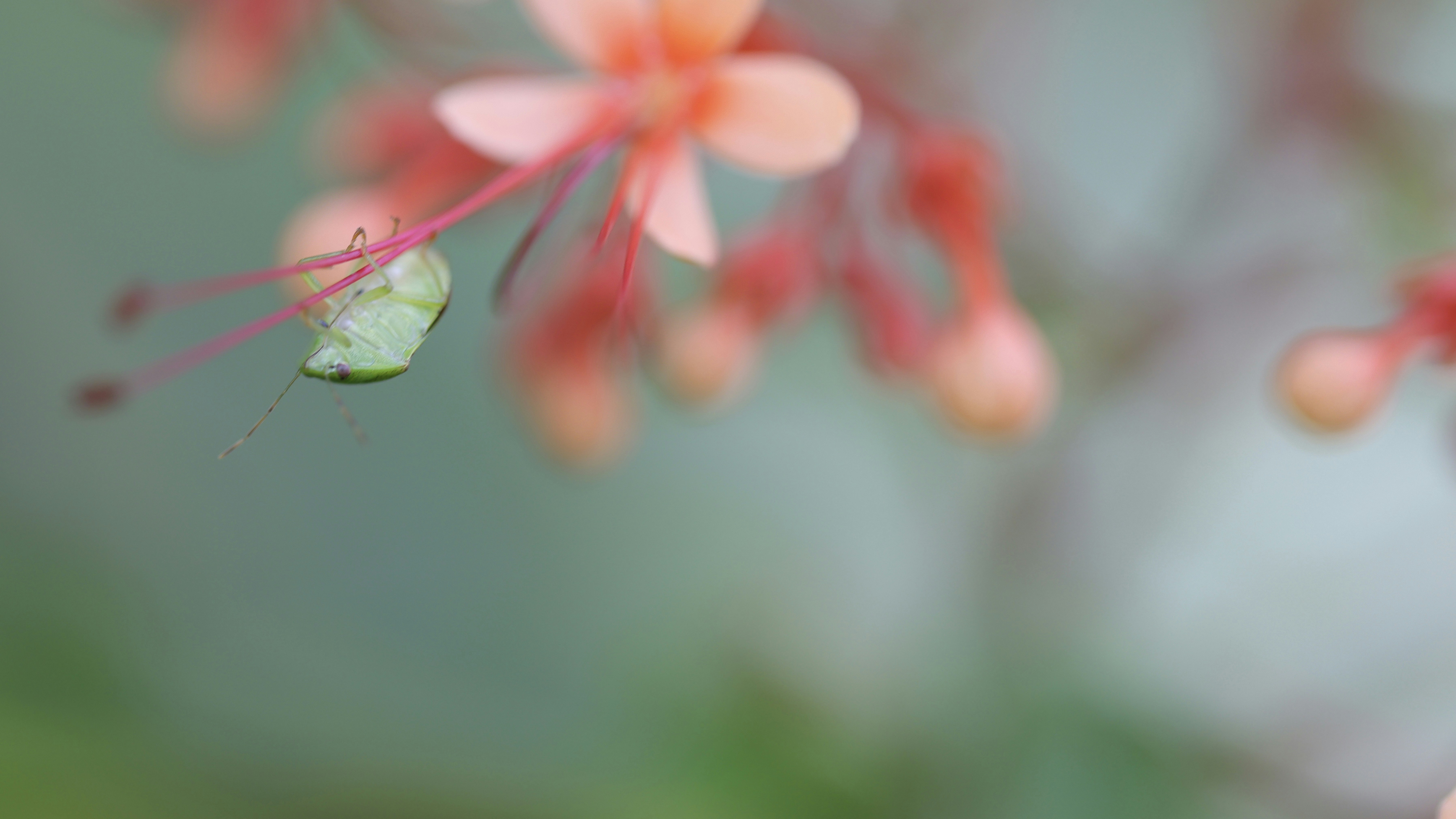 Photo by dickenslin76