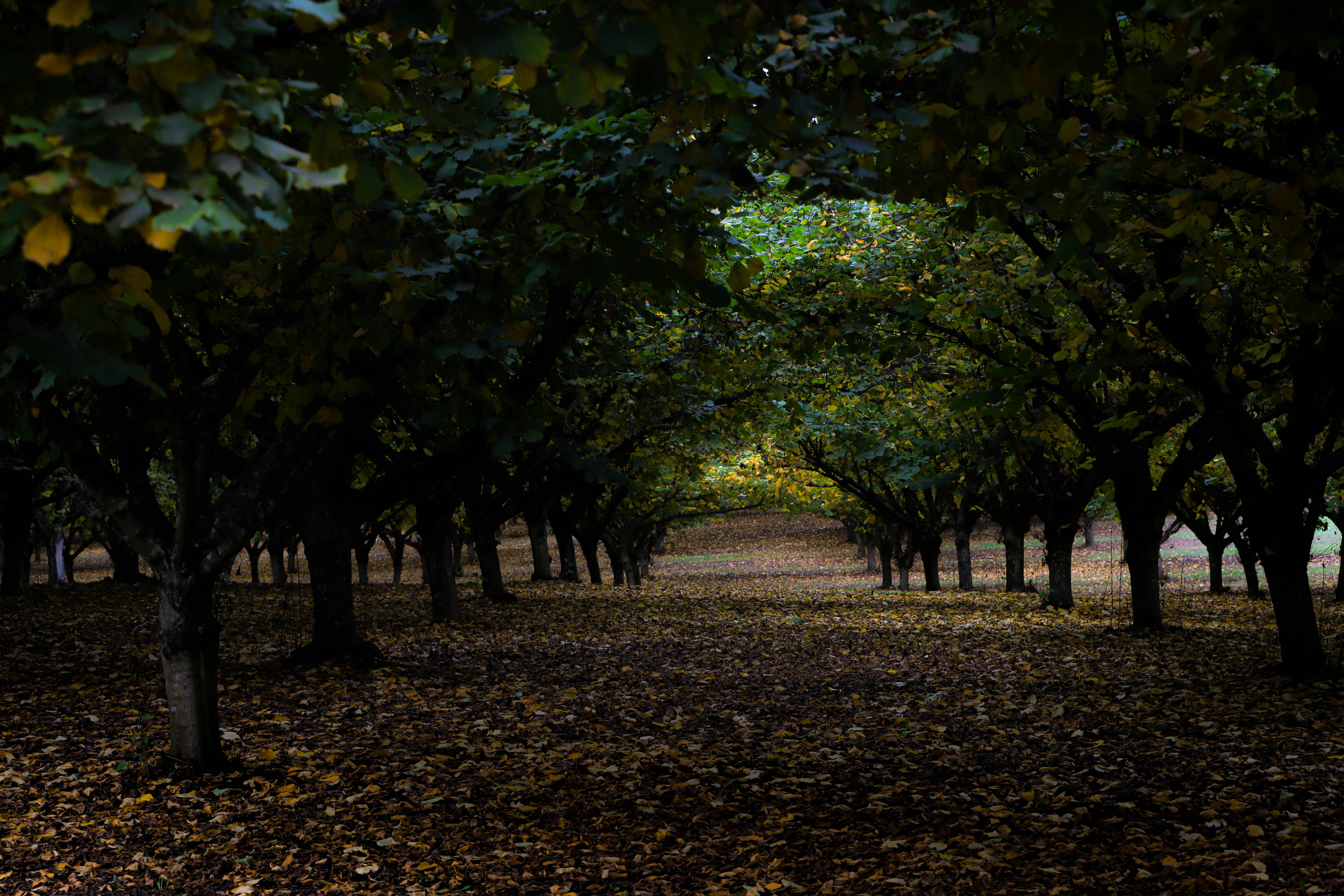 Photo by davidjboozer