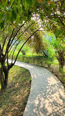 A textured concrete pathway winding through a softly lit landscaped garden at dusk.