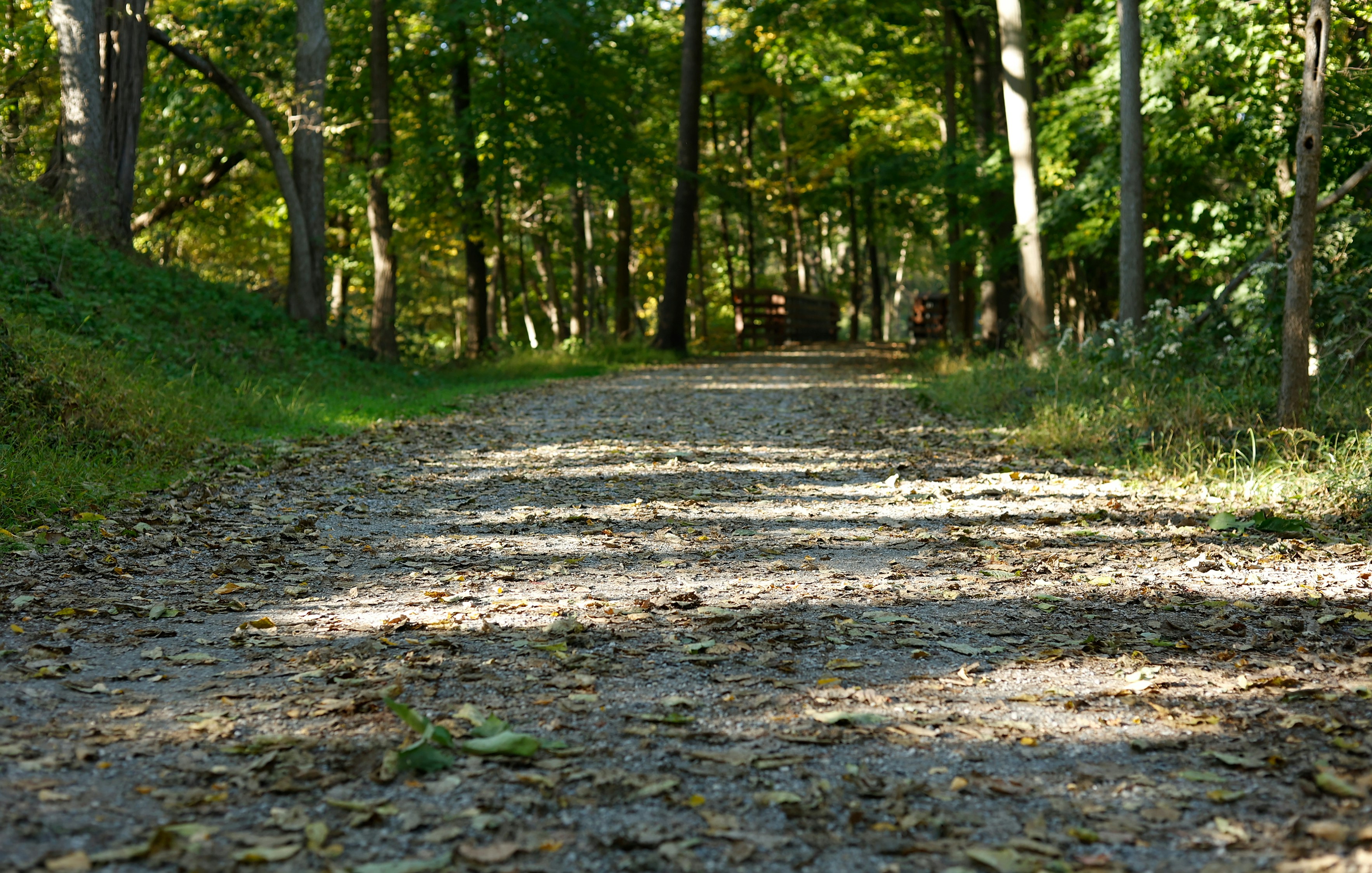 Photo by sherebiahtishbi