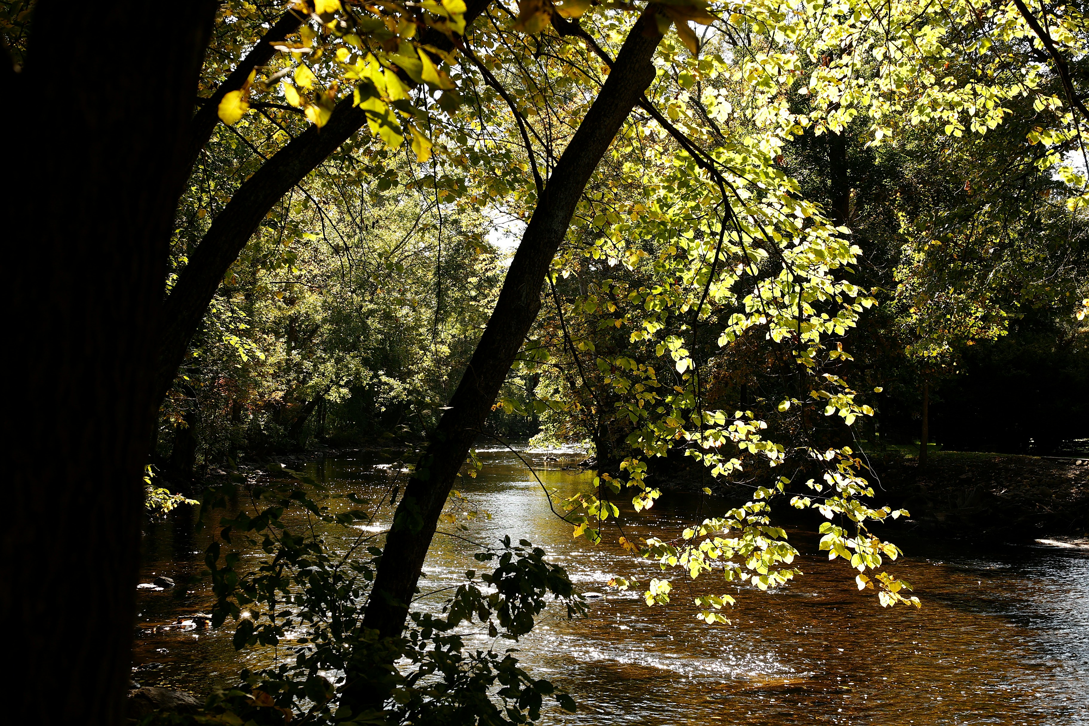 Photo by sherebiahtishbi