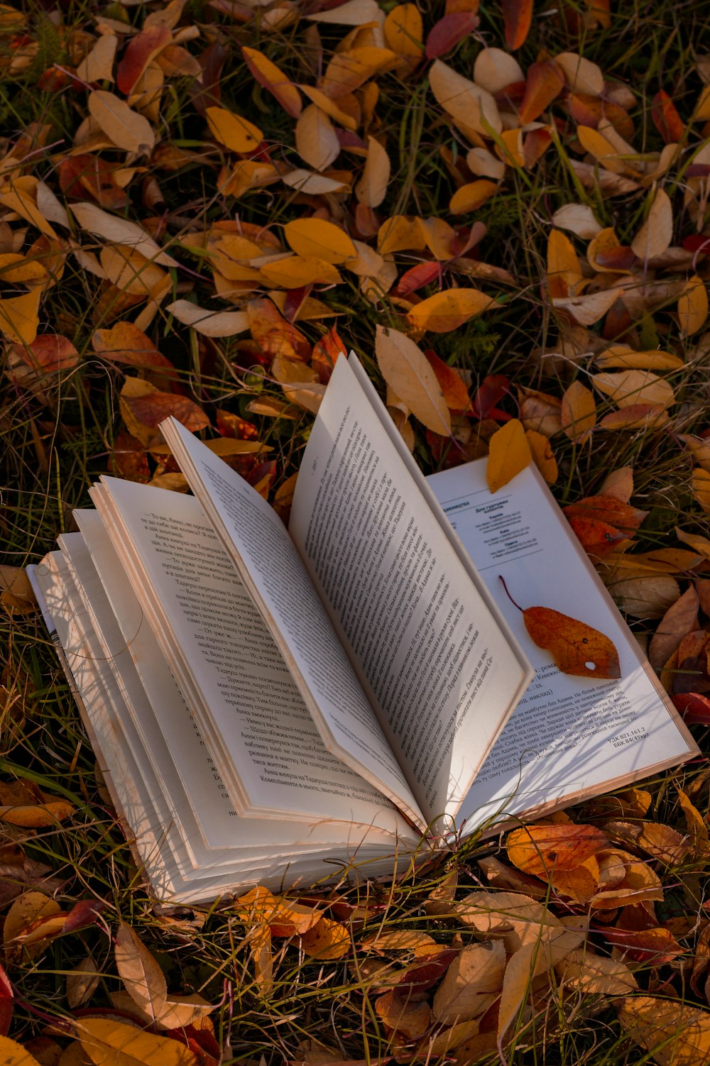 a book on the ground