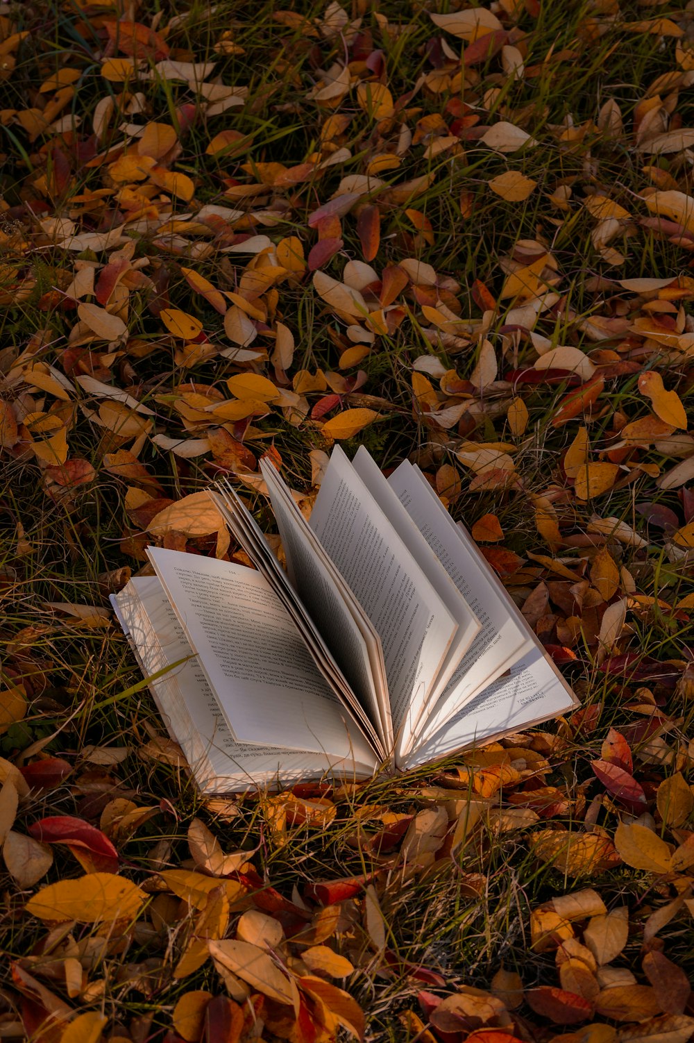 a book on the ground