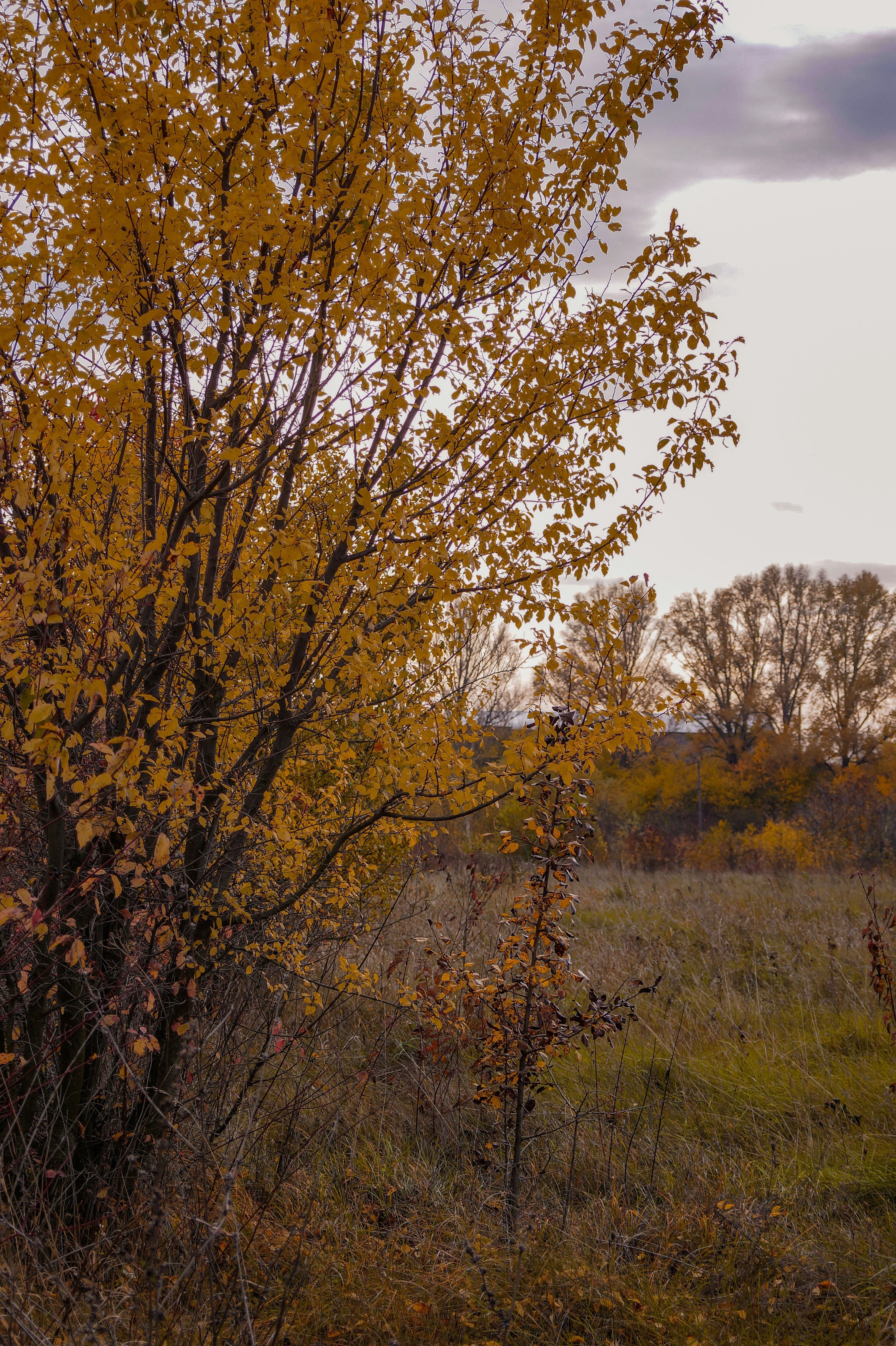 Photo by valentine_ivanova